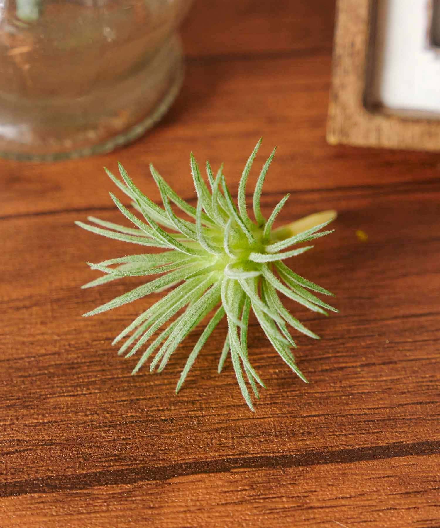 salut!(サリュ) フェイク多肉ピック