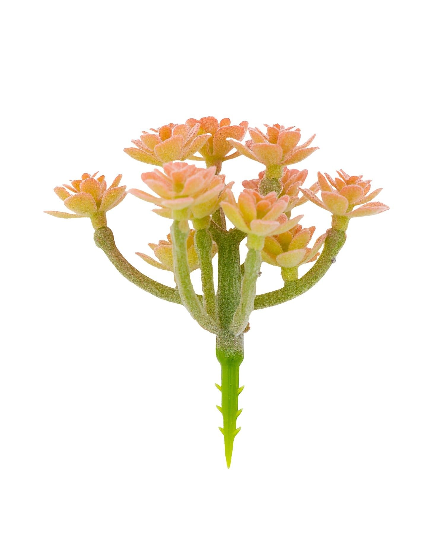 salut!(サリュ) フェイク多肉ピック