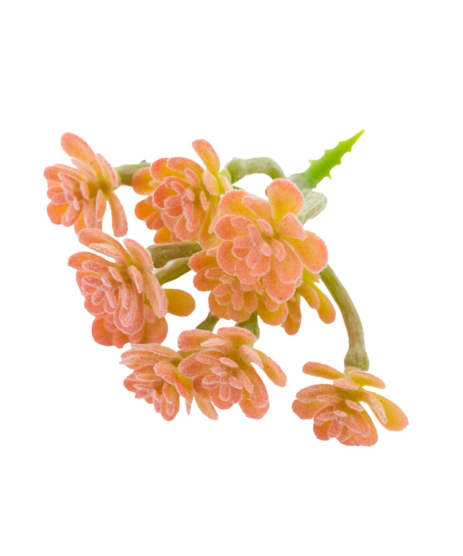 salut!(サリュ) フェイク多肉ピック