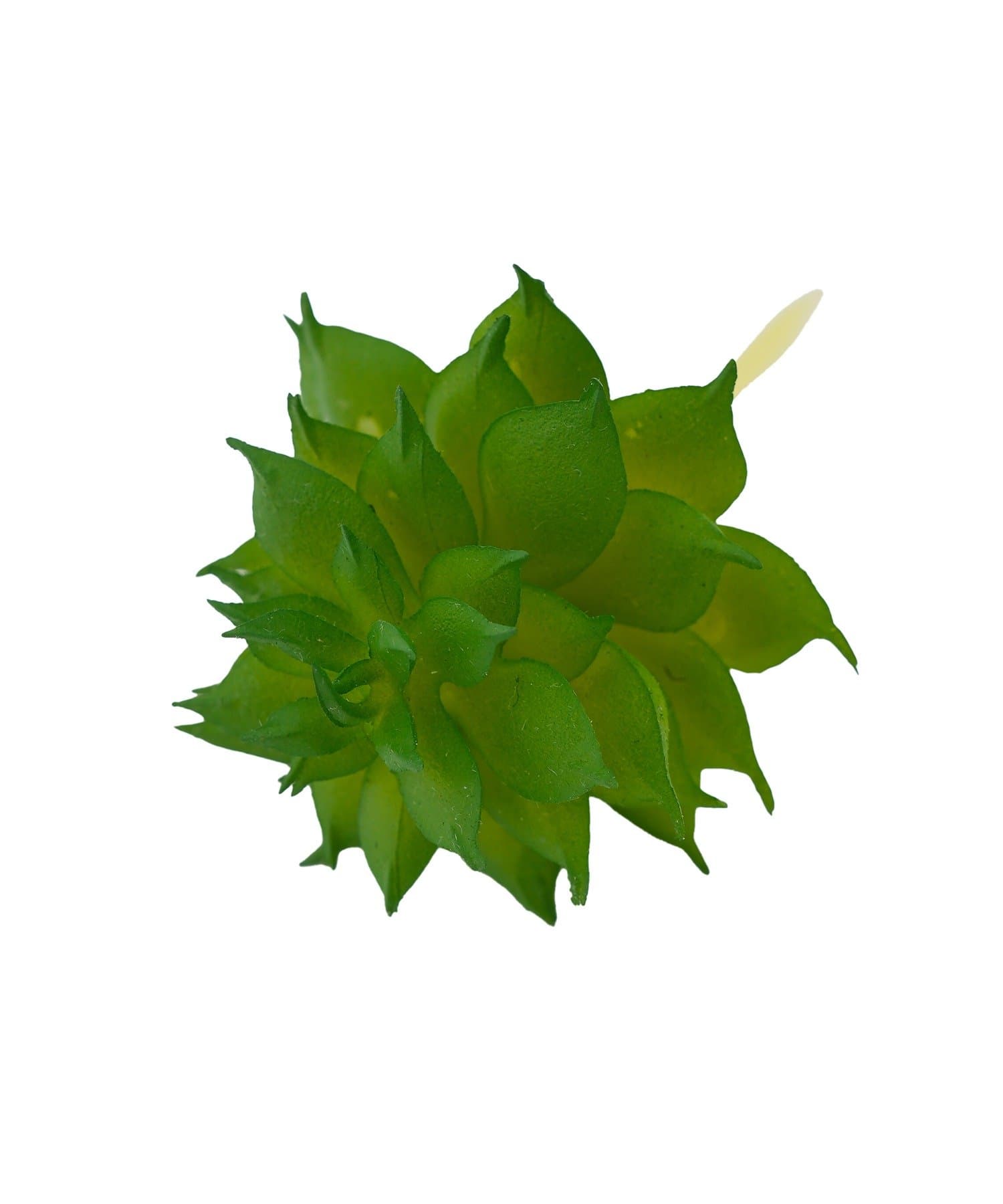 salut!(サリュ) フェイク多肉ピック