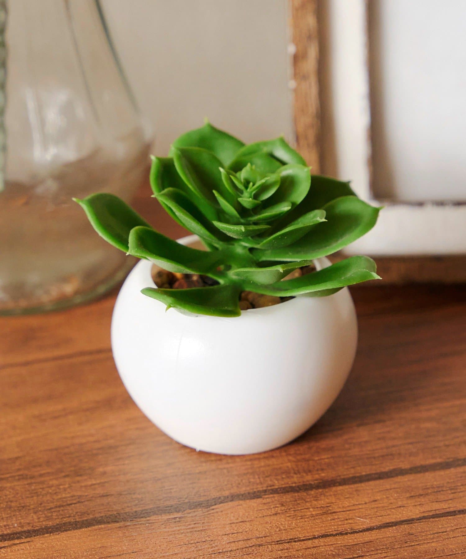 salut!(サリュ) 多肉ミニポット