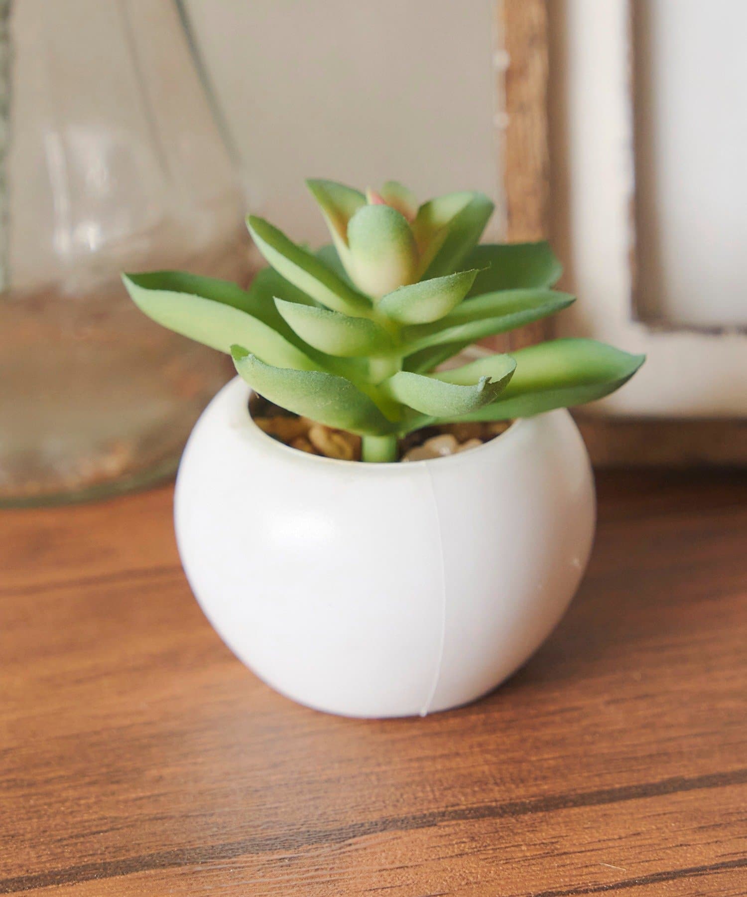 salut!(サリュ) 多肉ミニポット