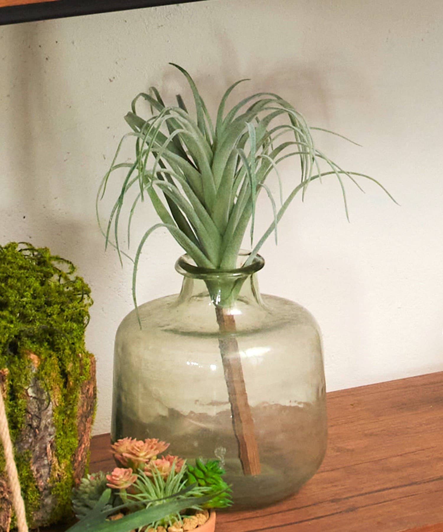 salut!(サリュ) フェイクチランジア