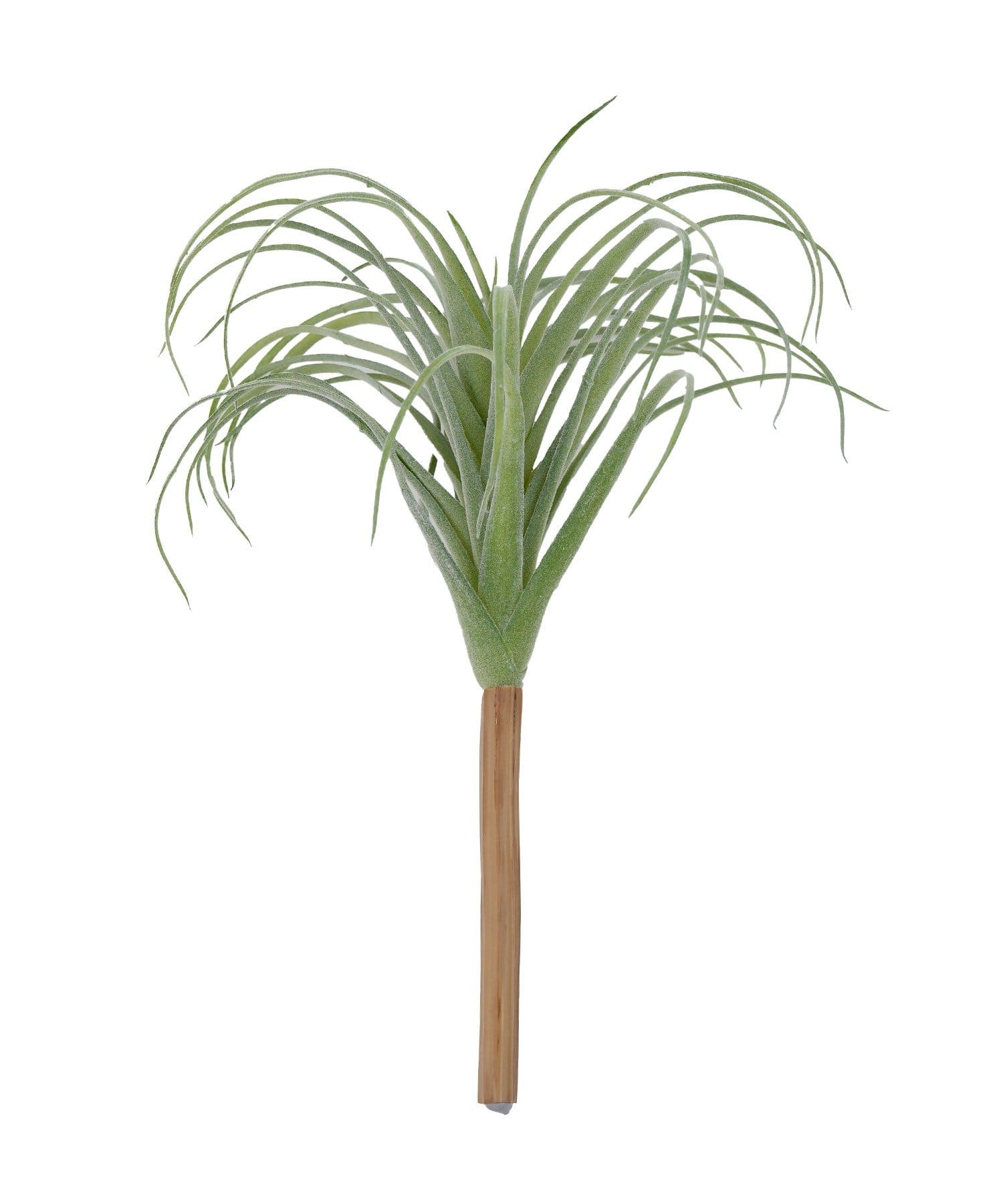 salut!(サリュ) フェイクチランジア