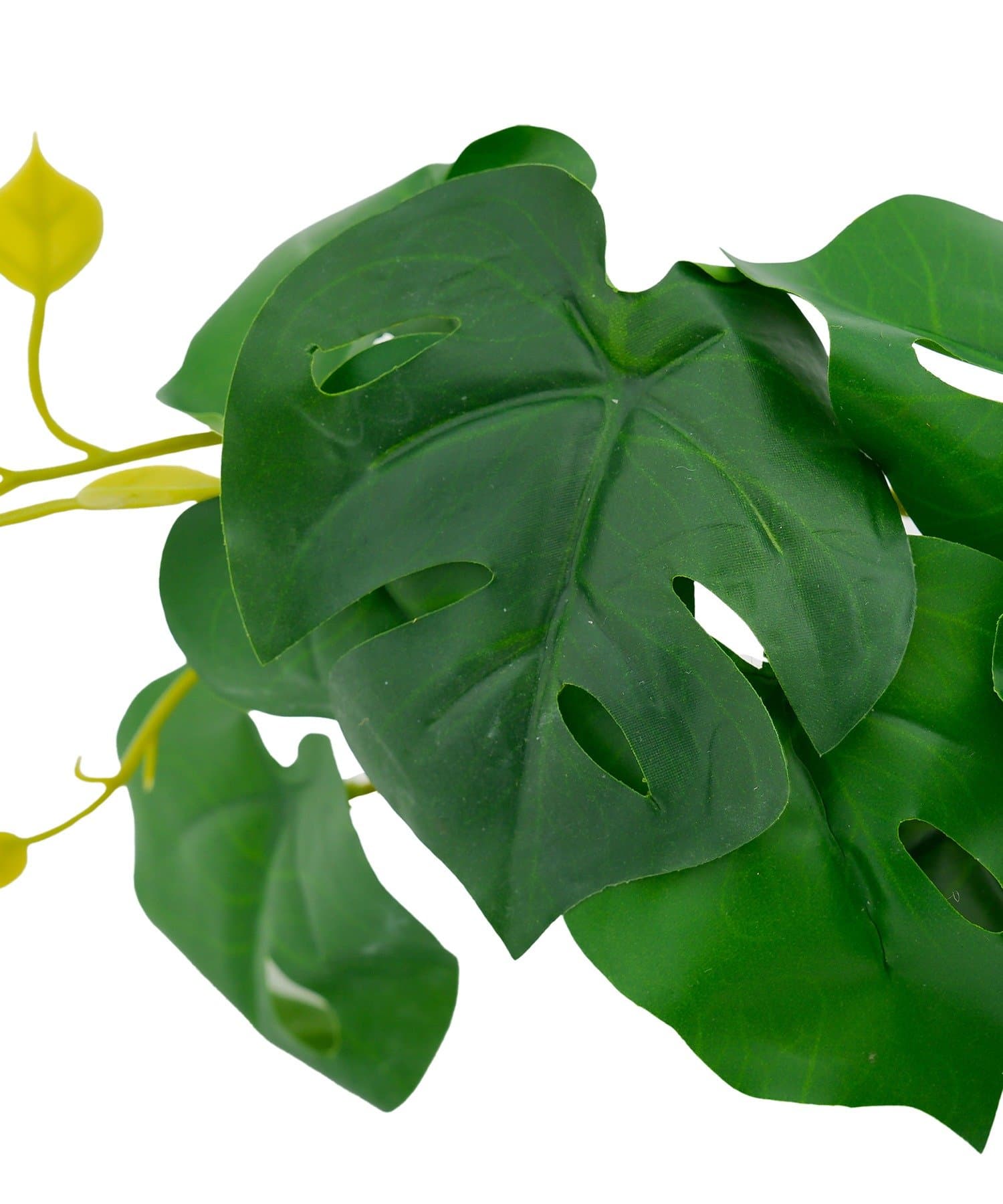 salut!(サリュ) フェイクモンステラ