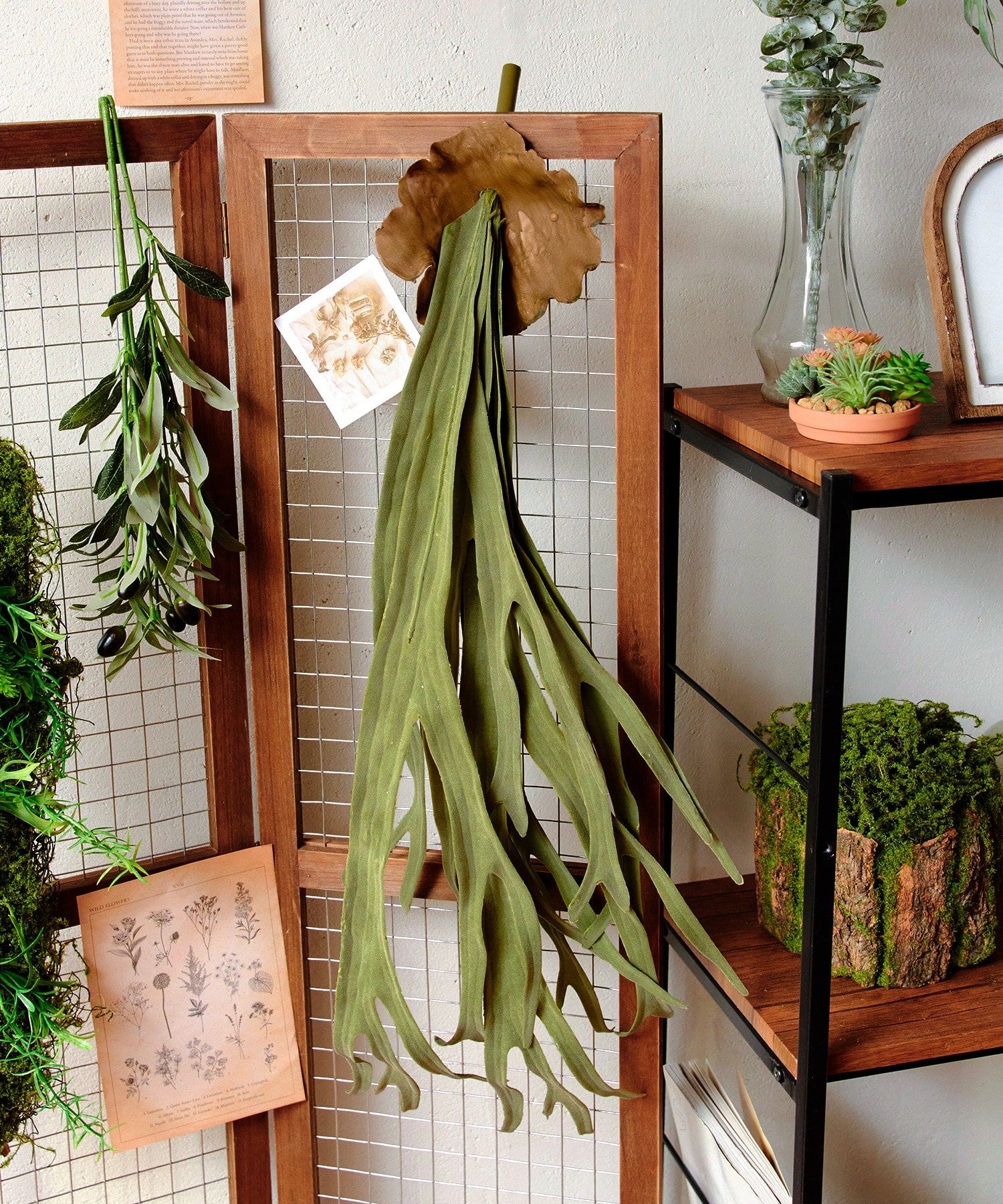 salut!(サリュ) フェイクコウモリラン：L