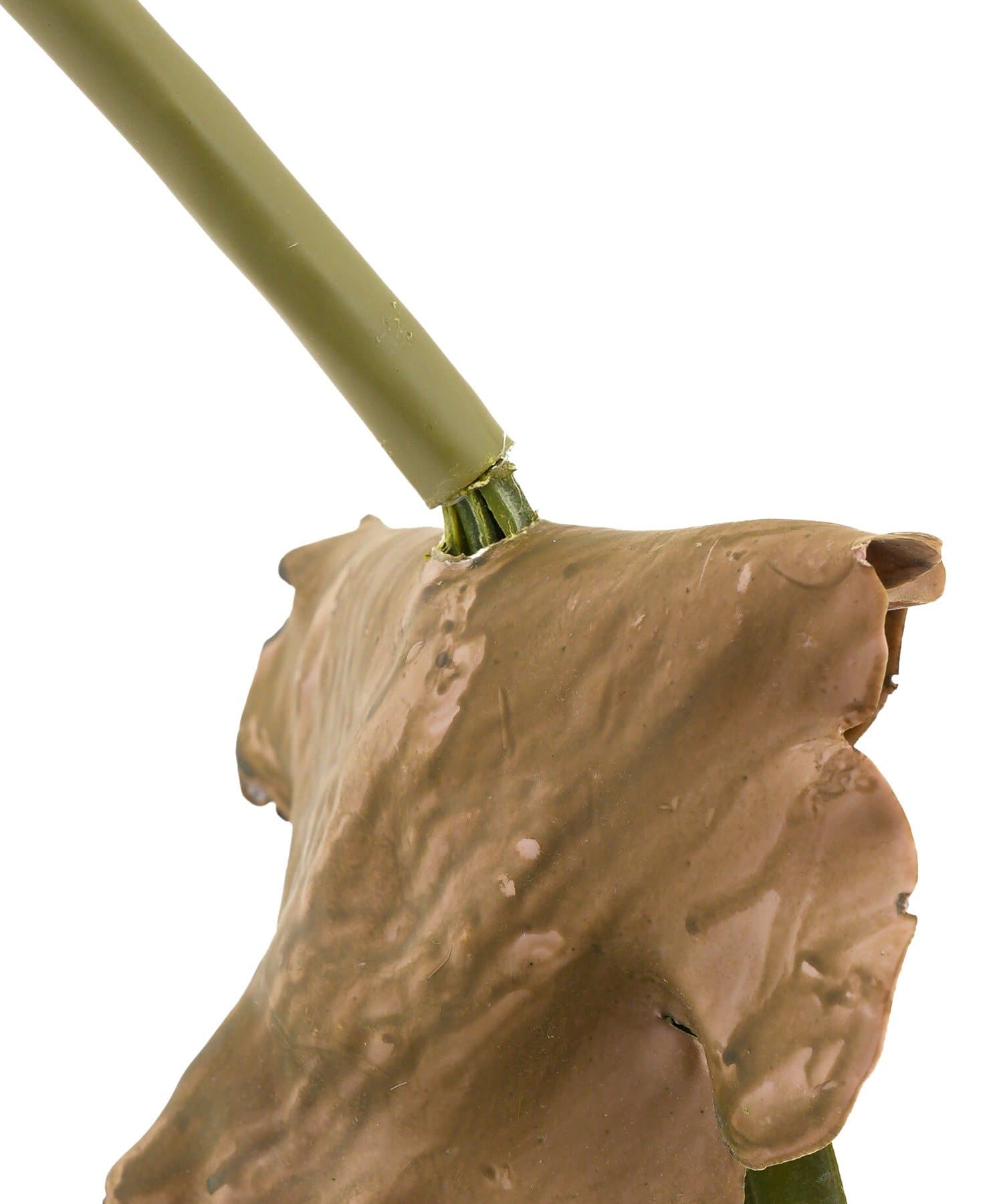 salut!(サリュ) フェイクコウモリラン：L