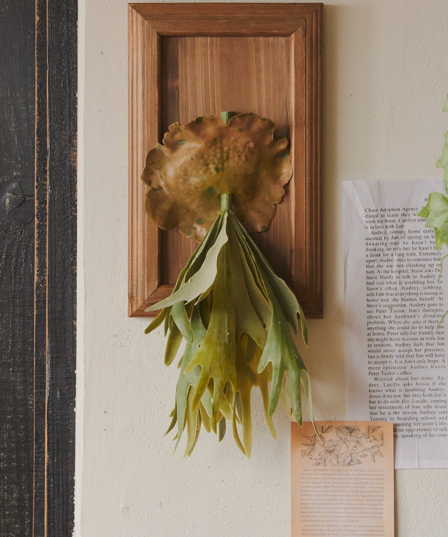 salut!(サリュ) フェイクコウモリラン