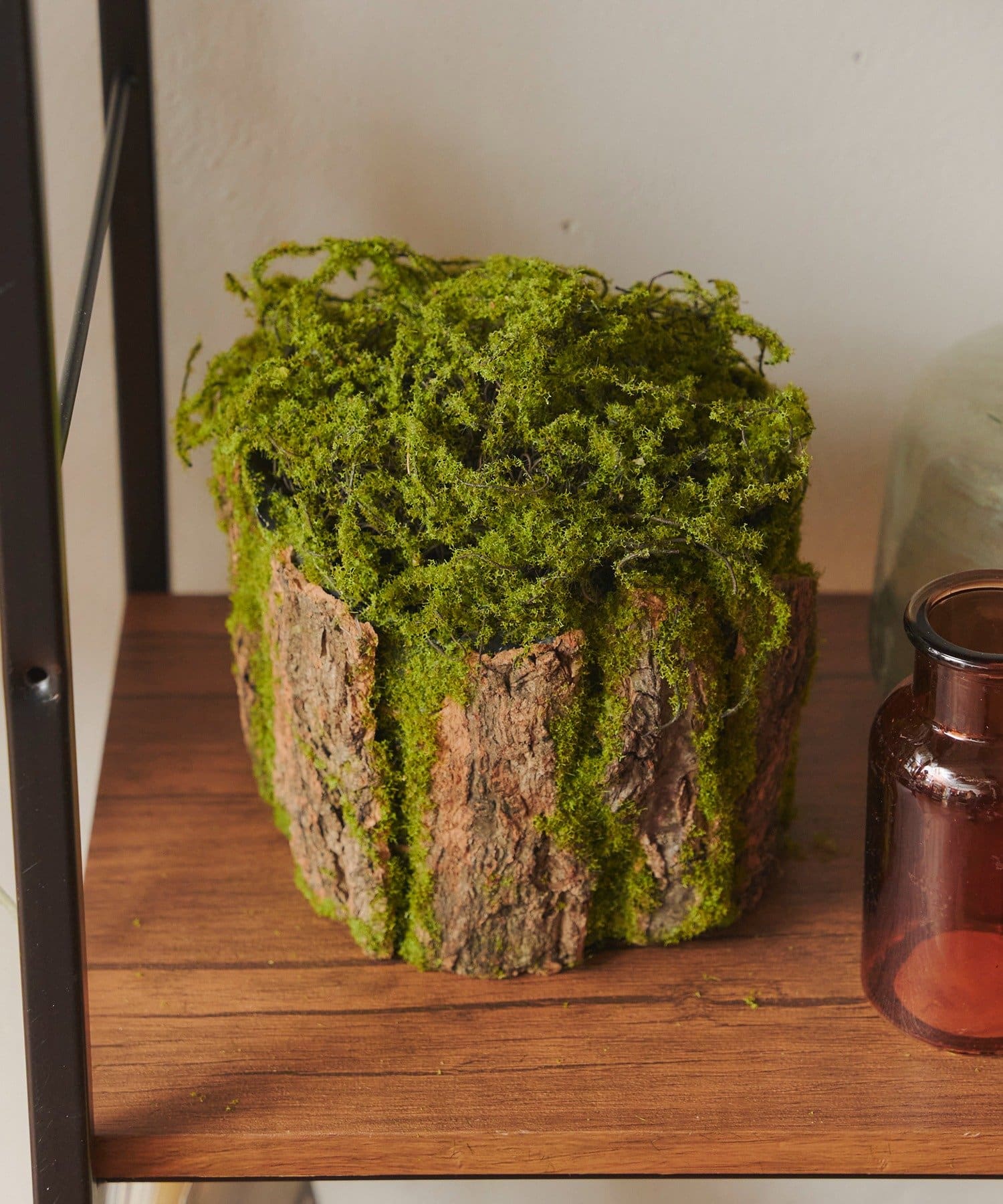 salut!(サリュ) スタンドフェイクモス