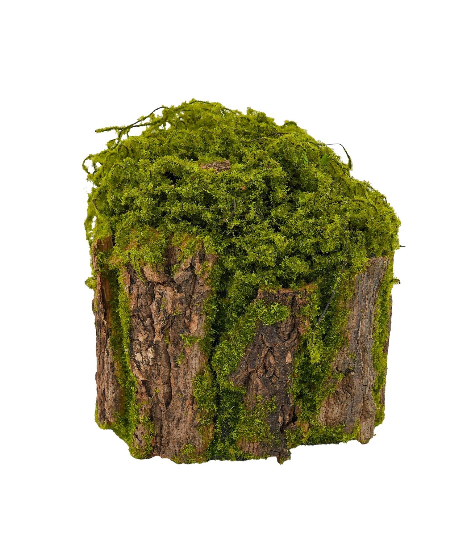 salut!(サリュ) スタンドフェイクモス