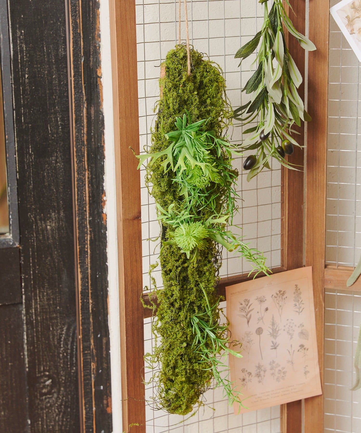 salut!(サリュ) ウォールフェイクモス