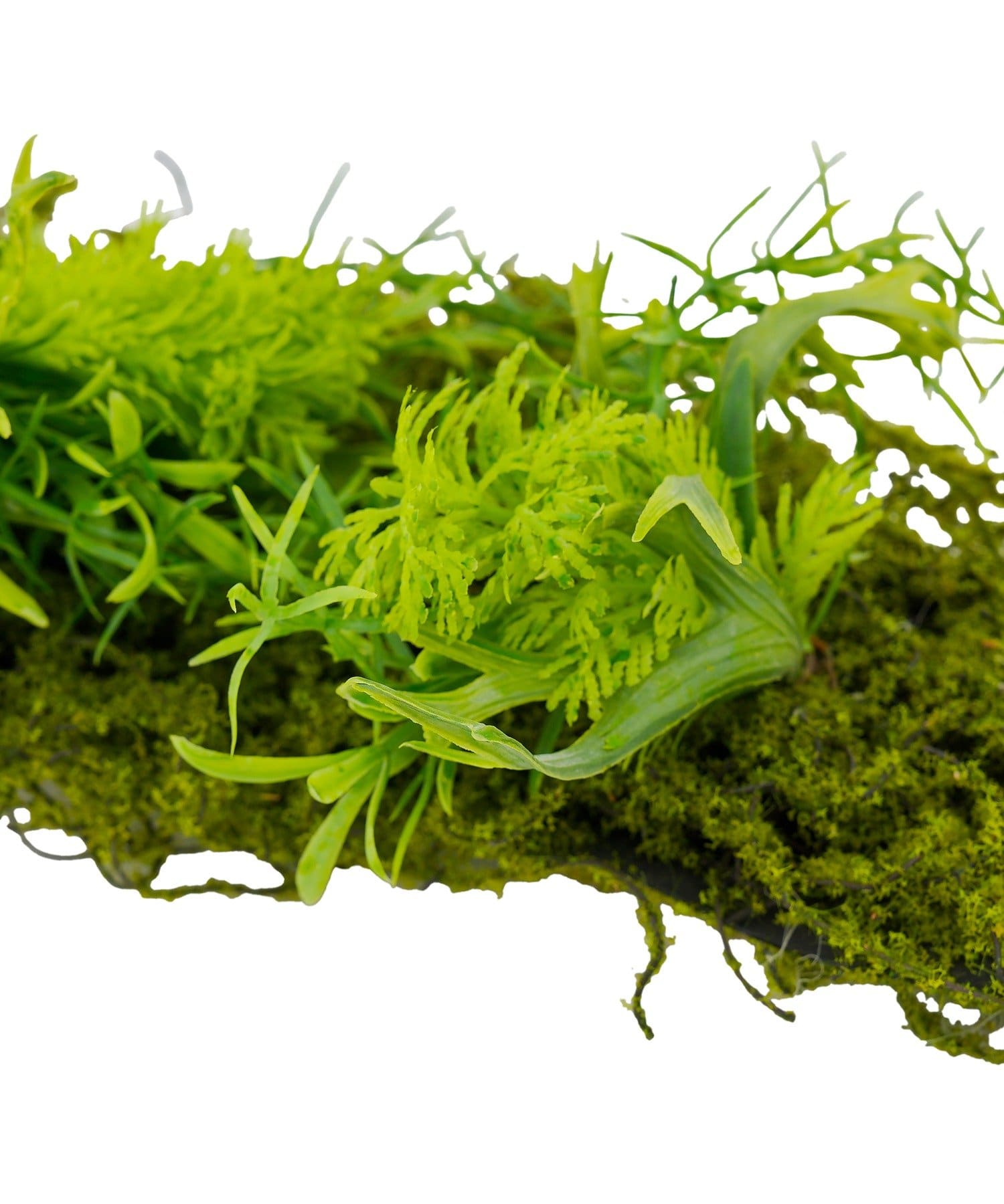 salut!(サリュ) ウォールフェイクモス