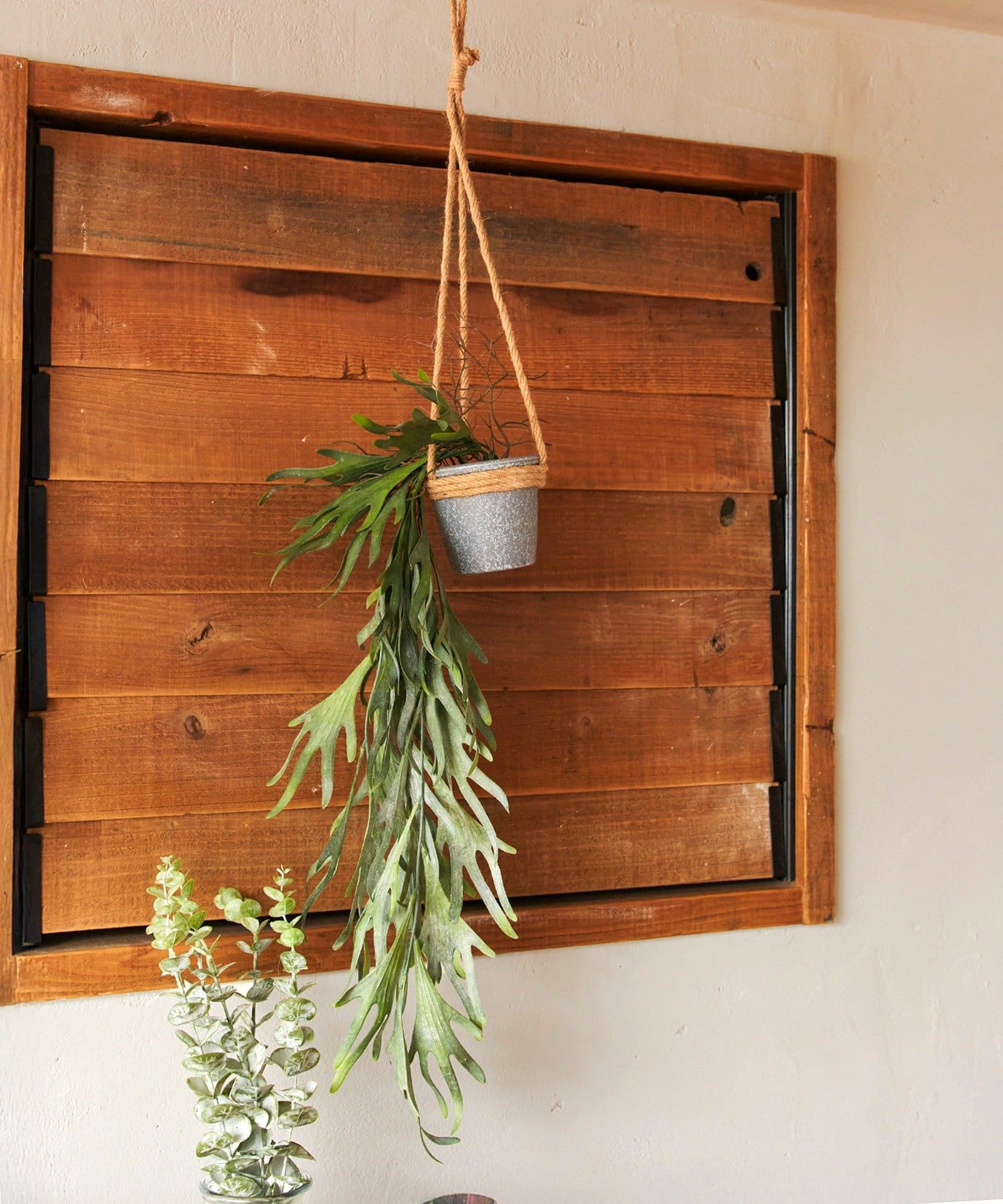 salut!(サリュ) フェイクグリーンハンギングポットコウモリラン