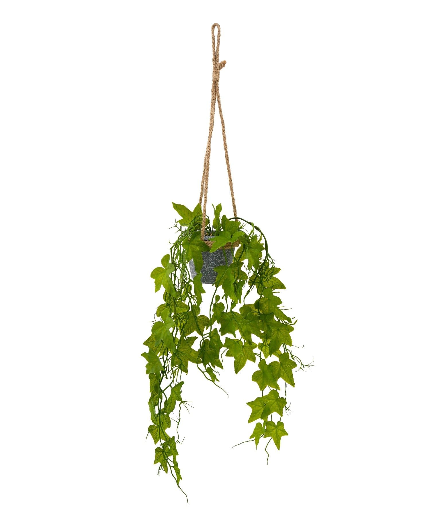 salut!(サリュ) フェイクグリーンハンギングポットアイビー