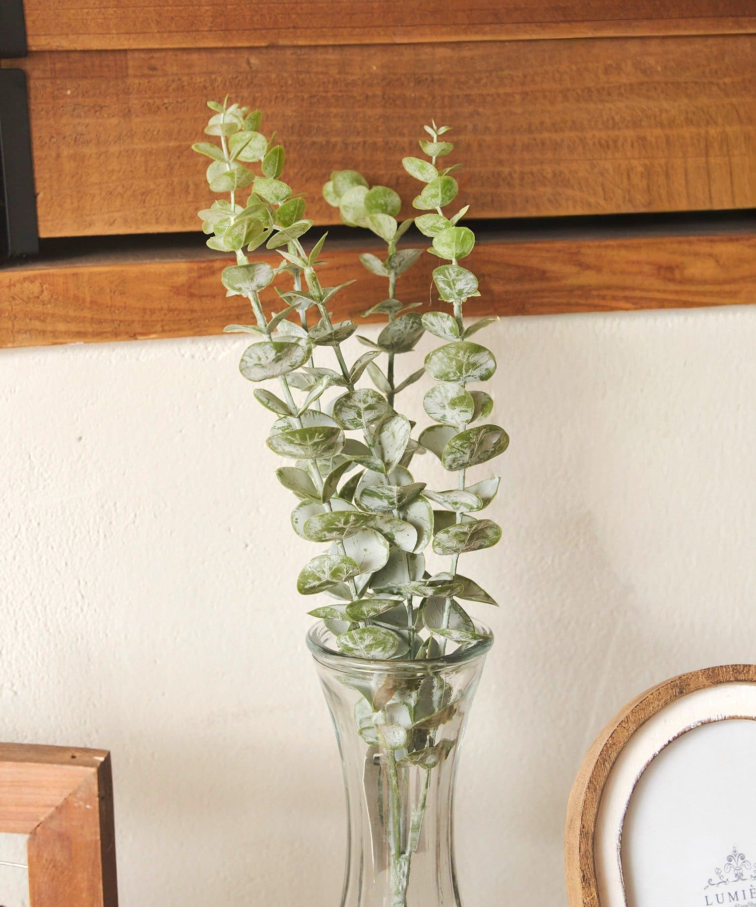 salut!(サリュ) アートグリーンユーカリ