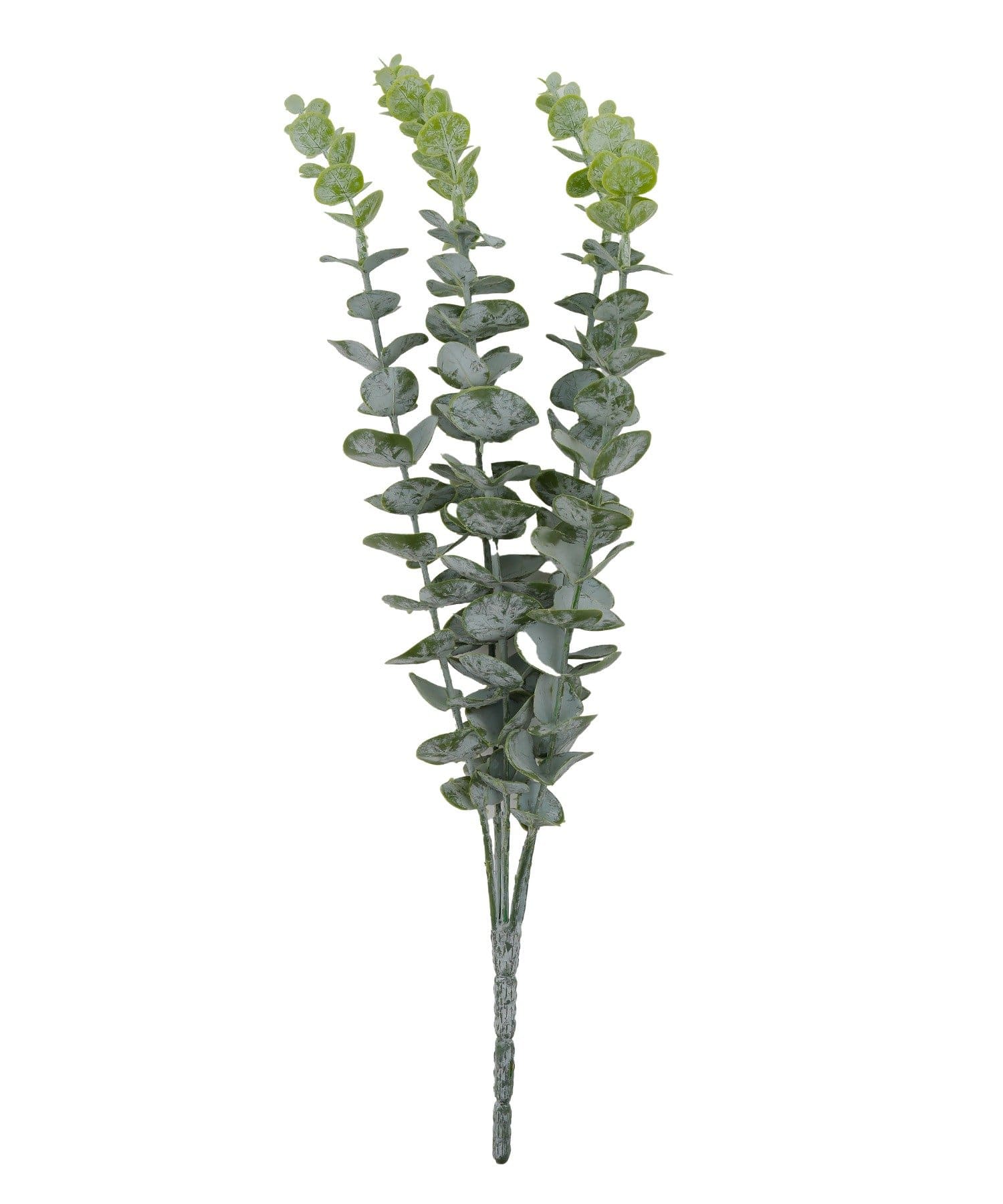 salut!(サリュ) アートグリーンユーカリ