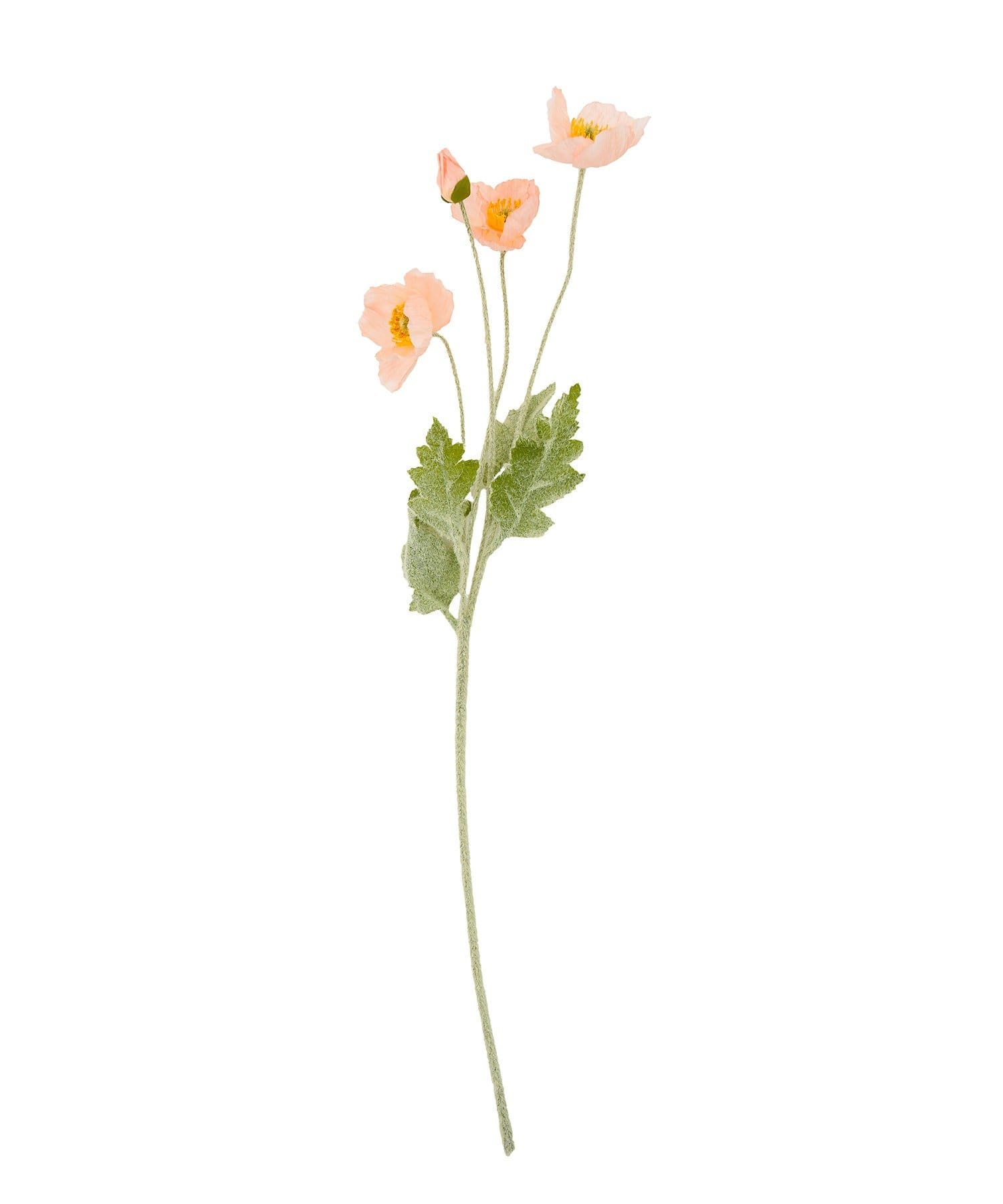 salut!(サリュ) アートフラワーポピー