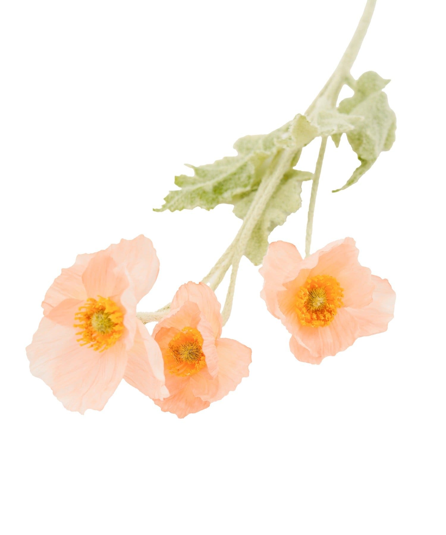 salut!(サリュ) アートフラワーポピー