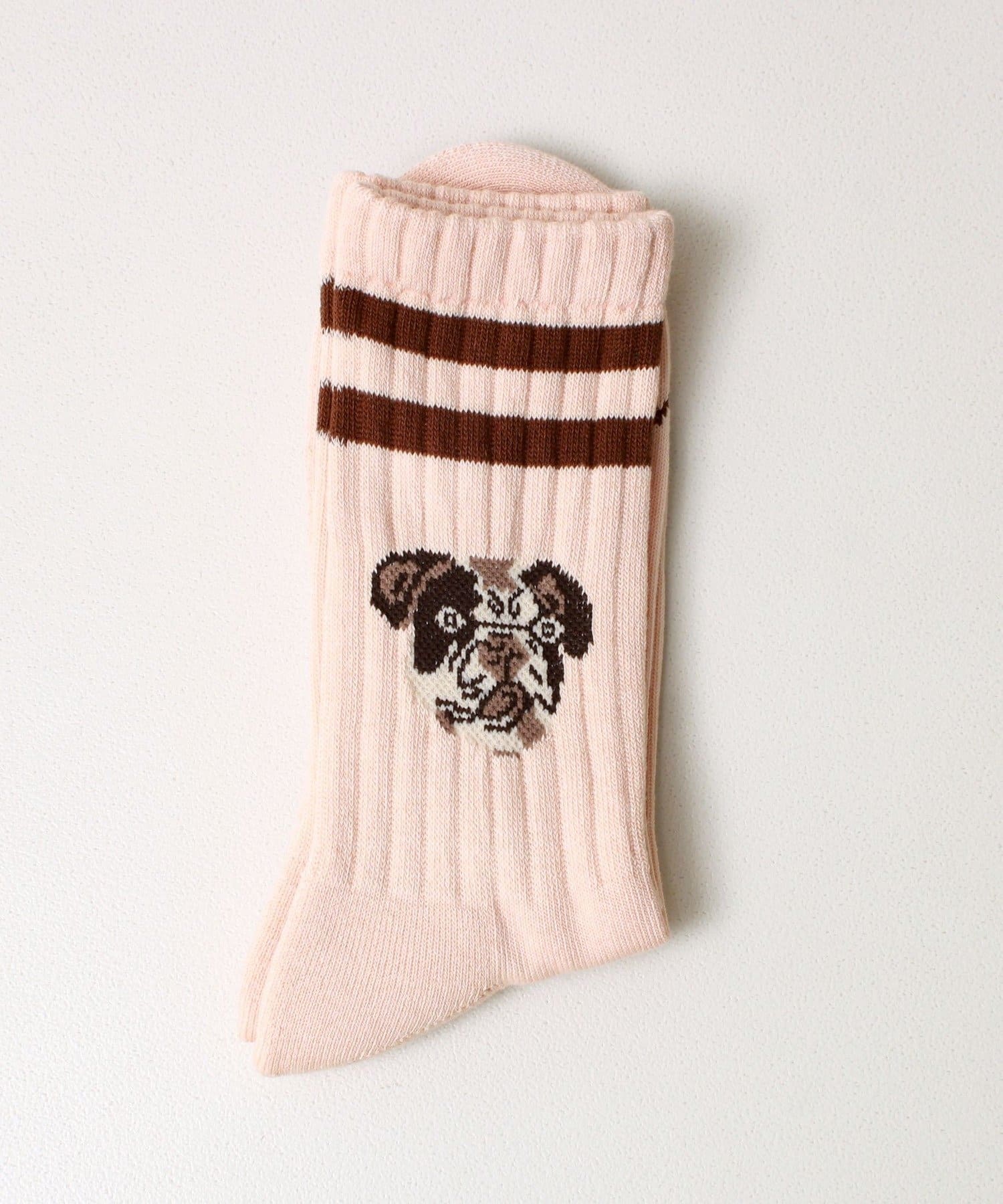 FREDY & GLOSTER(フレディ アンド グロスター) 【ROSTER SOX/ロスターソックス】DOG