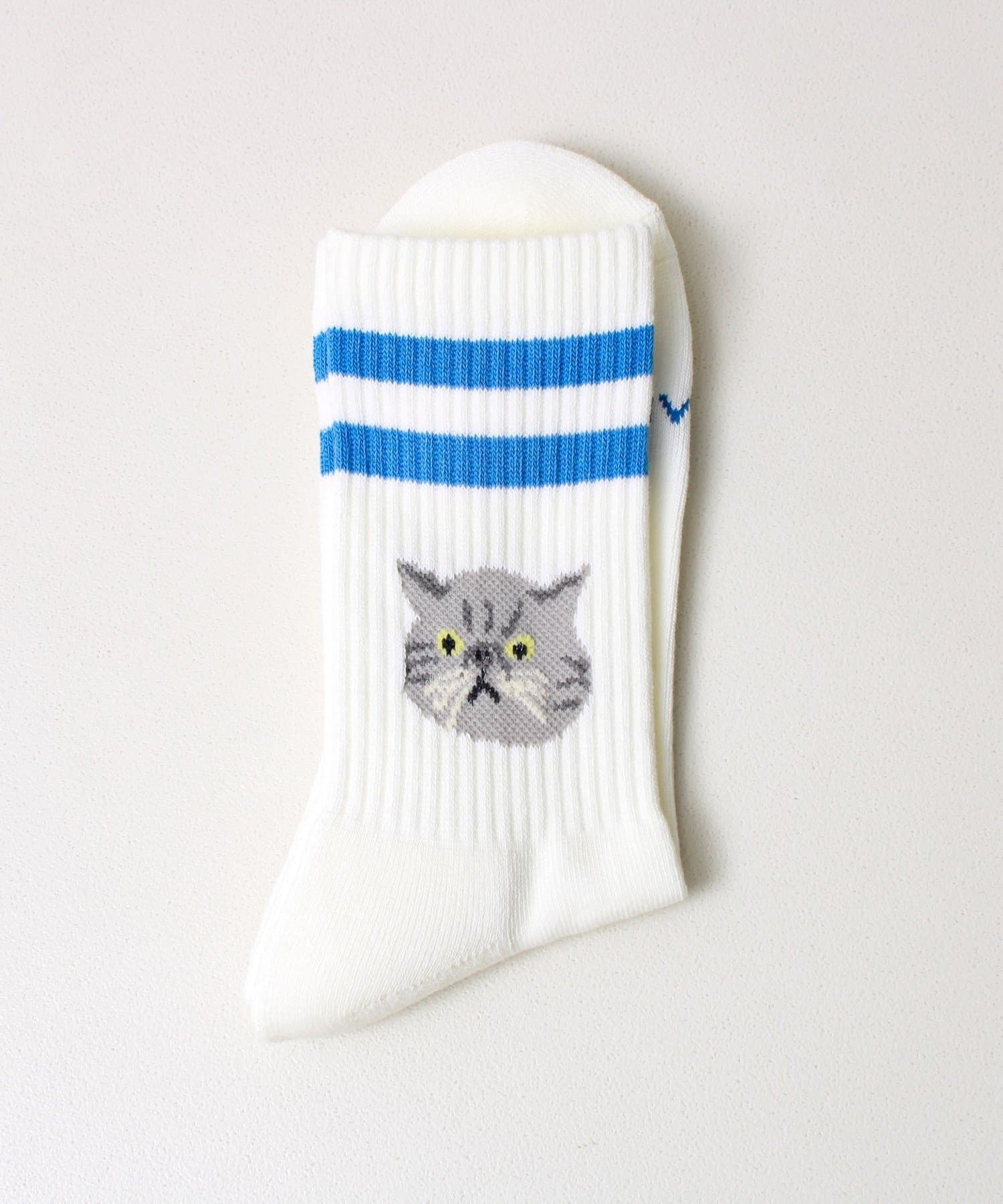 FREDY & GLOSTER(フレディ アンド グロスター) 【ROSTER SOX/ロスターソックス】CAT