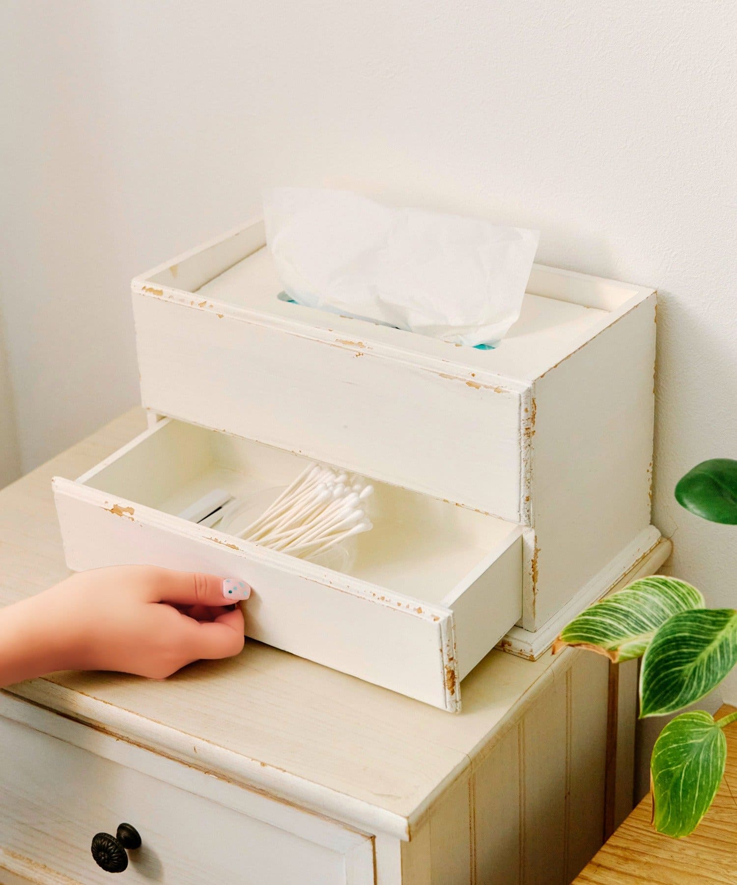 salut!(サリュ) 引き出し付きティッシュボックスケース