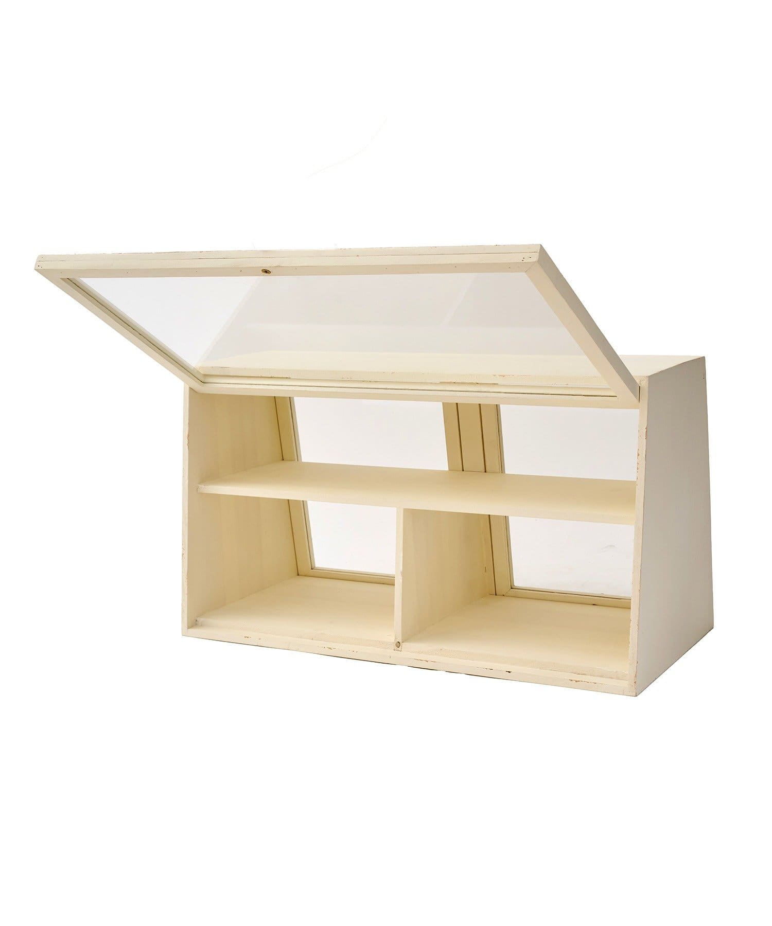 salut!(サリュ) 2ドアキャビネット