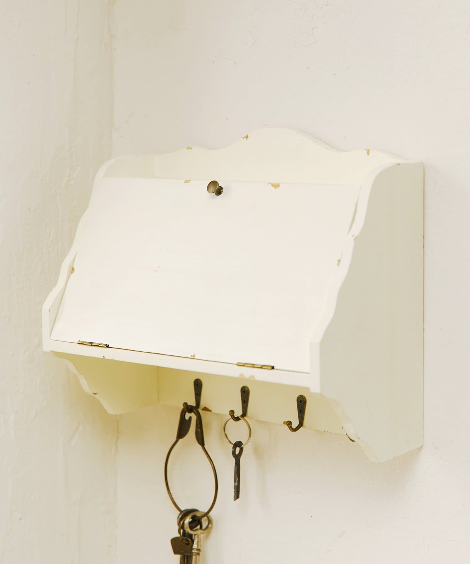 salut!(サリュ) 《WEB限定商品》収納付きウォールフック／choupinet