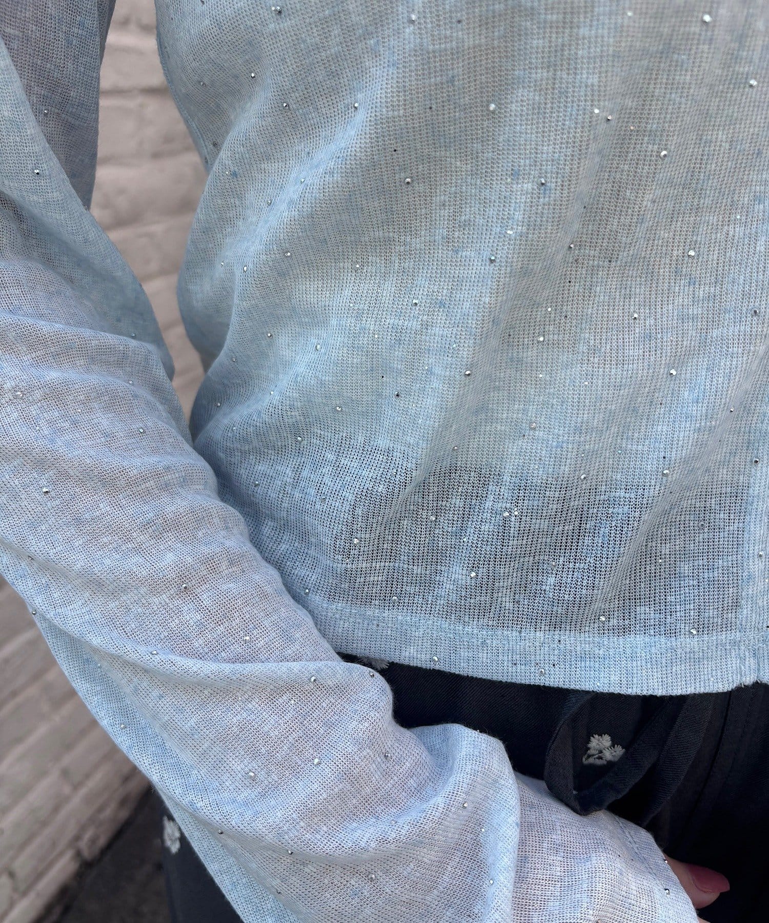 Kastane(カスタネ) 【3.20(金)12:00発売/4色展開/前後2WAY】ラインストーンシアーカットソー