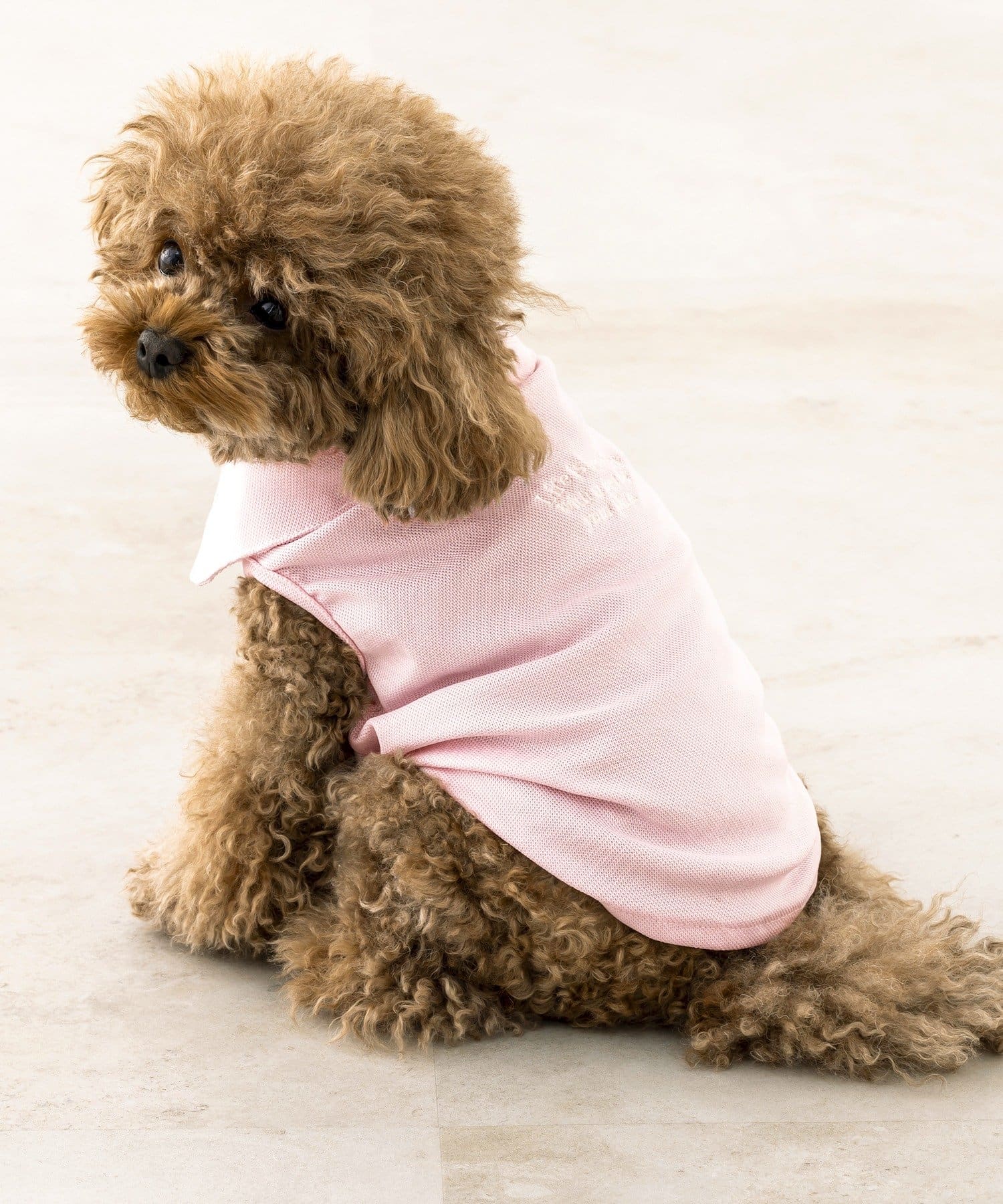 3COINS(スリーコインズ) ノースリーブポロシャツ