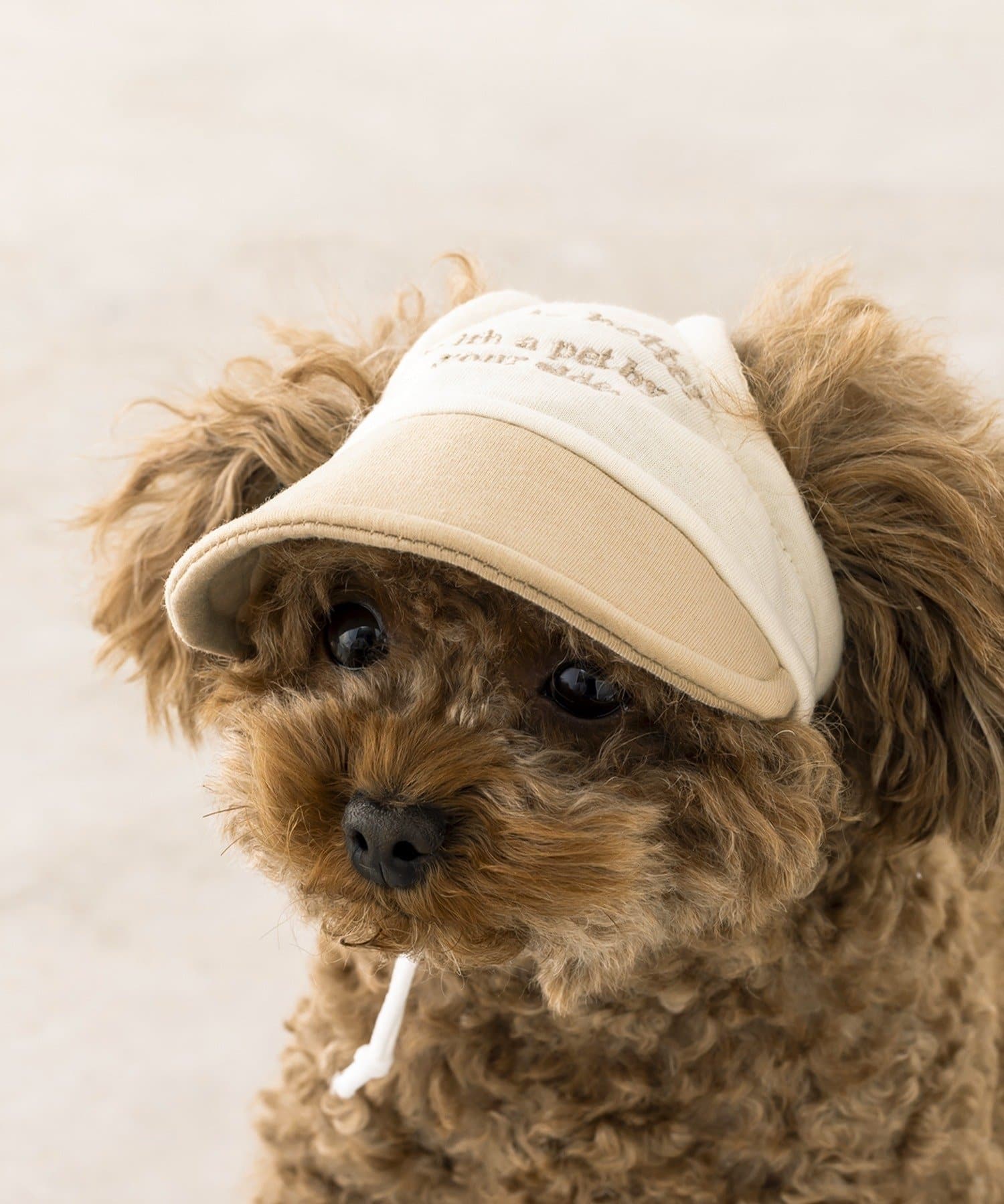 3COINS(スリーコインズ) キャップ