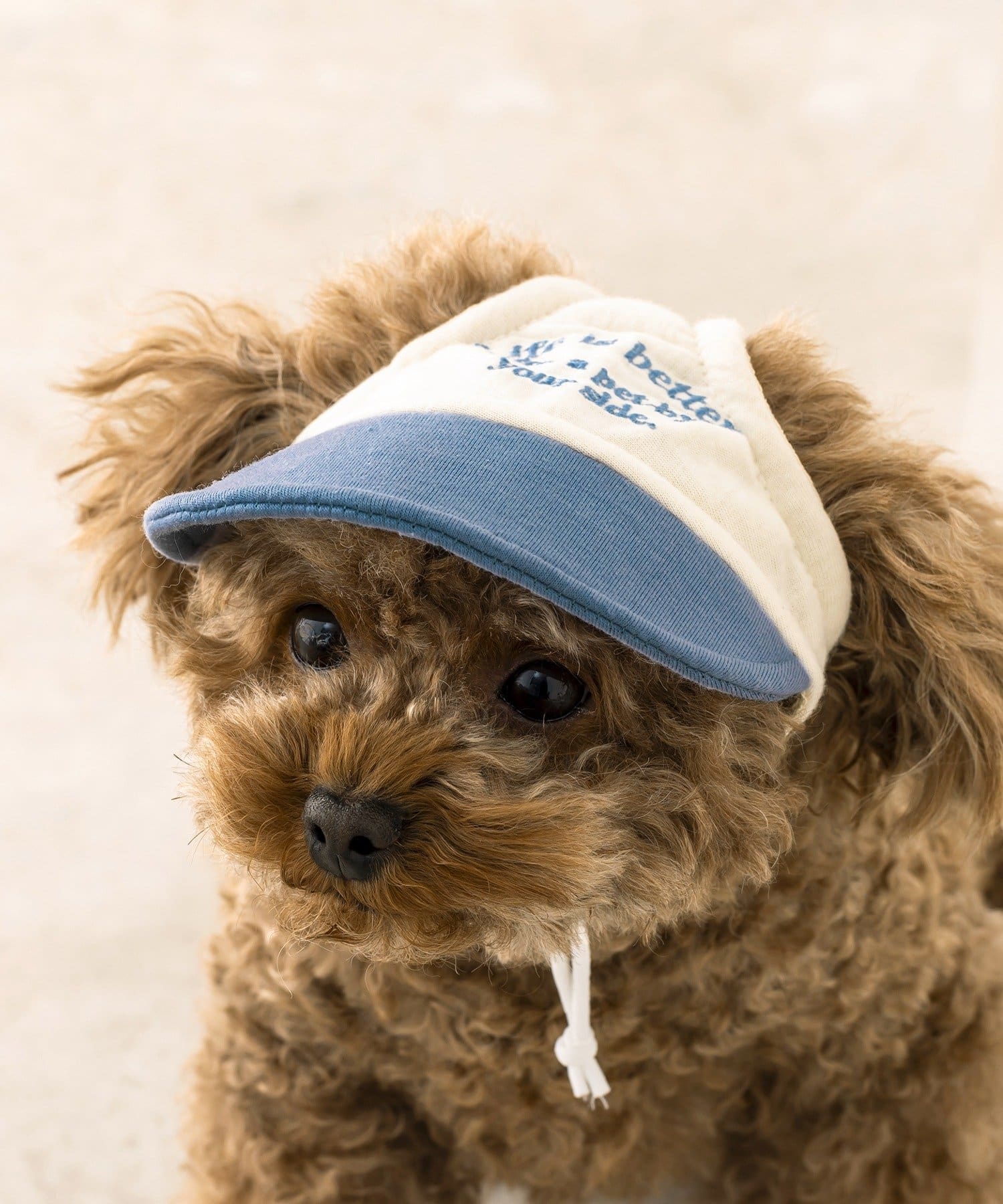 3COINS(スリーコインズ) キャップ