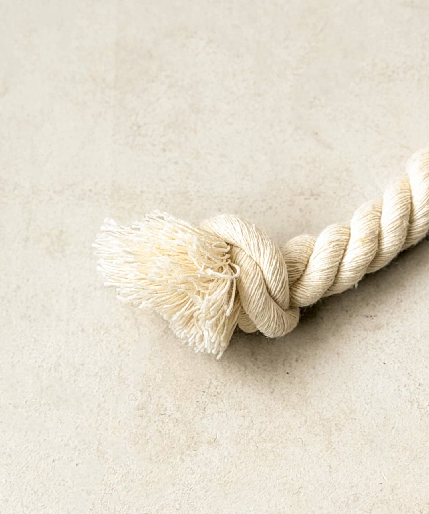 3COINS(スリーコインズ) ドライヤートイ