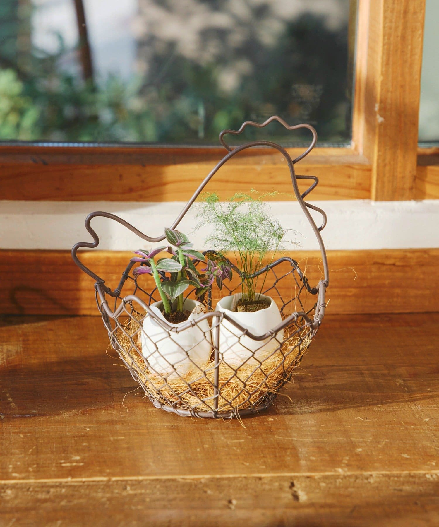 salut!(サリュ) ワイヤーエッグミニバスケット