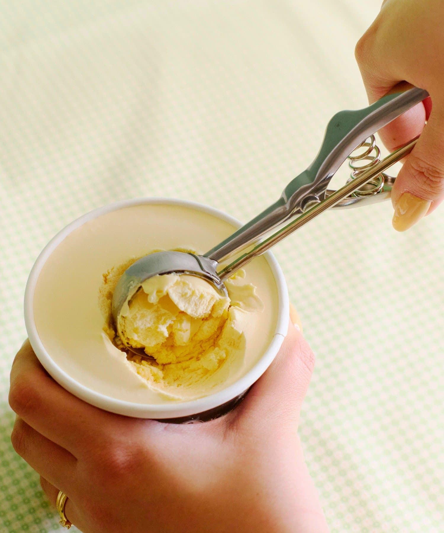 salut!(サリュ) アイスディッシャー：L／純喫茶