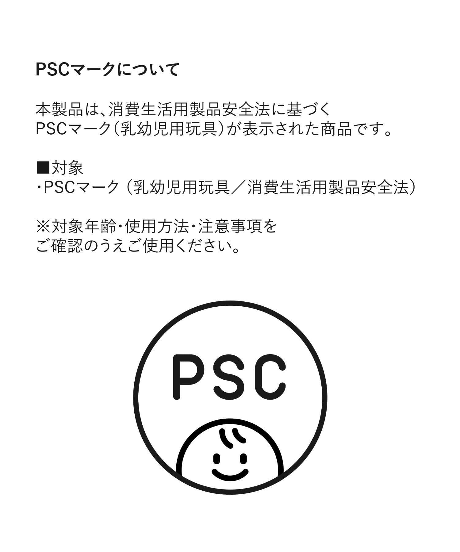 3COINS(スリーコインズ) 水で消えるチョーク15本セット／KIDS水遊び
