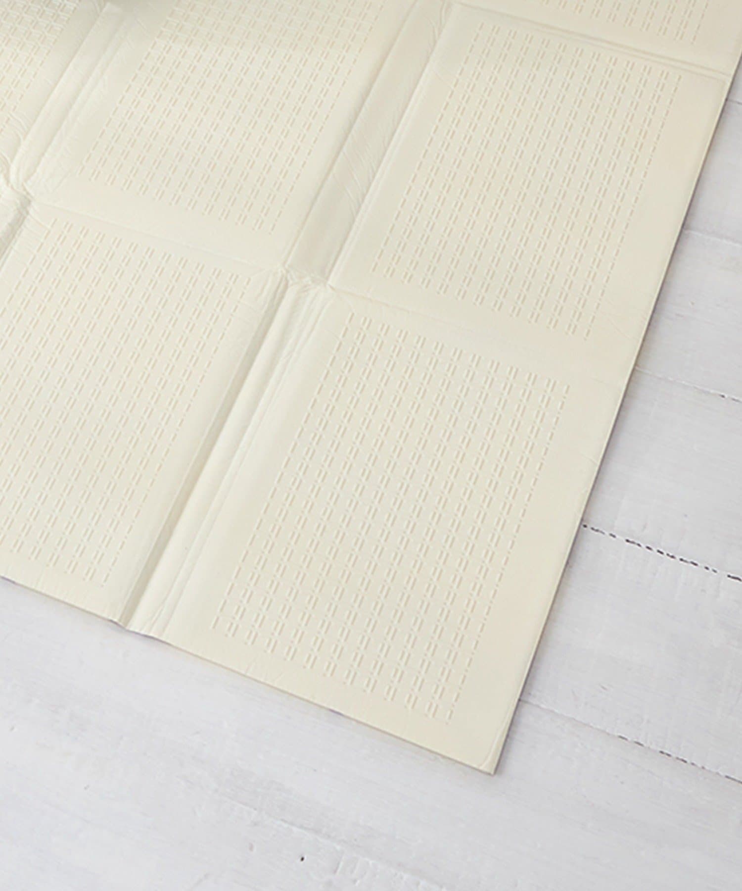 3COINS(スリーコインズ) リバーシブル折りたたみプレイマット／KIDS水遊び