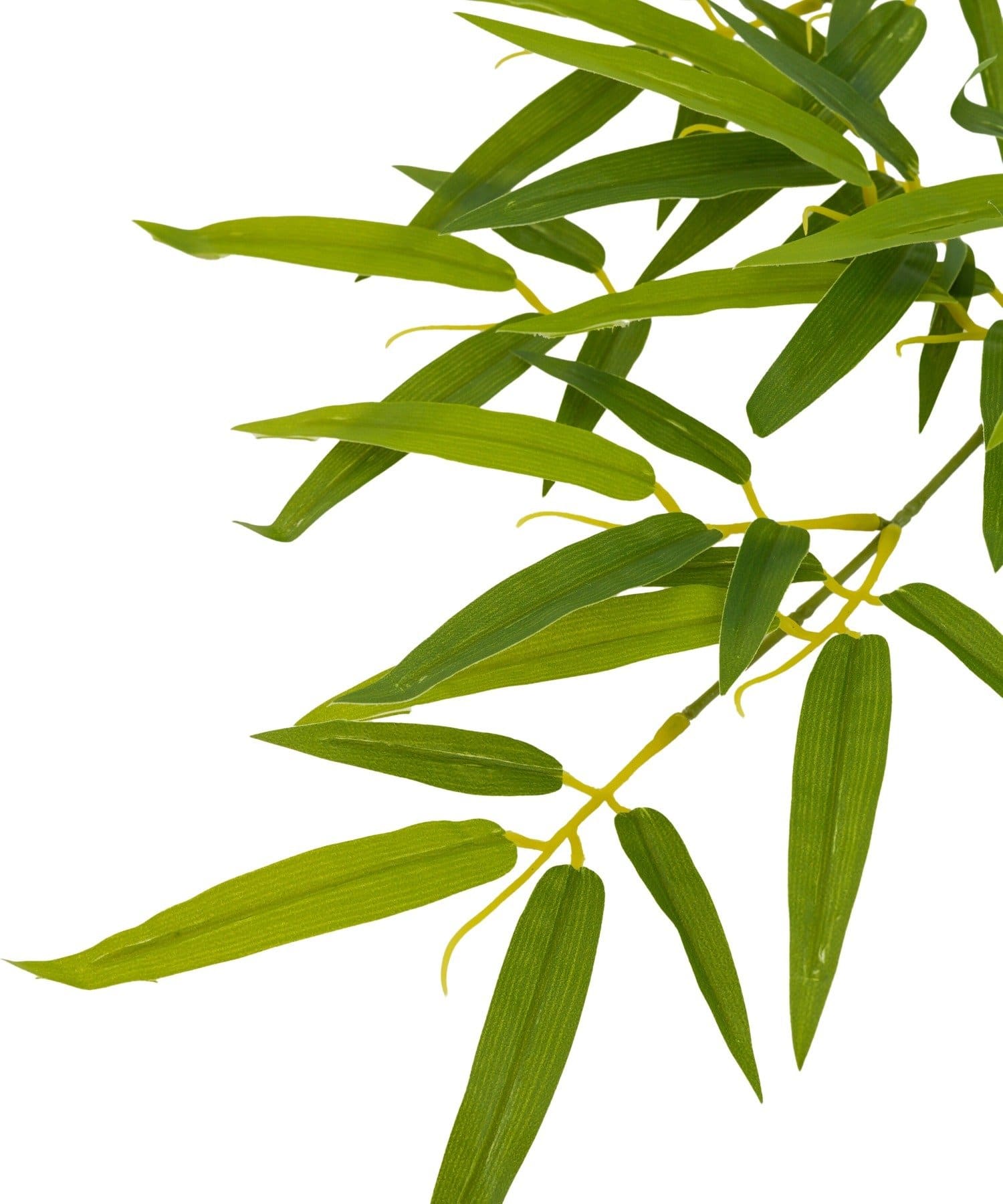 salut!(サリュ) フェイク笹ブランチ／七夕