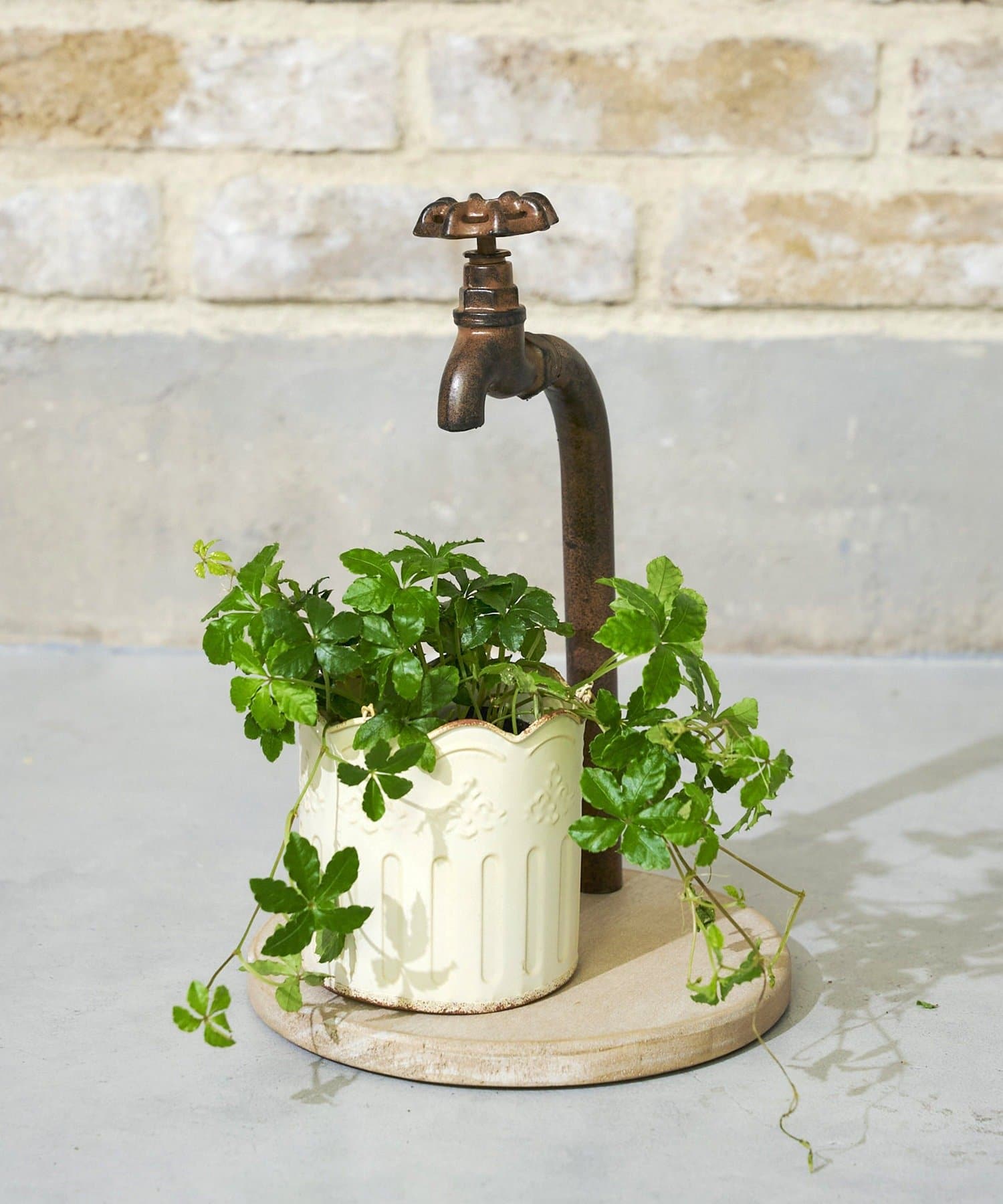 salut!(サリュ) 《WEB限定商品》タップディスプレイスタンド