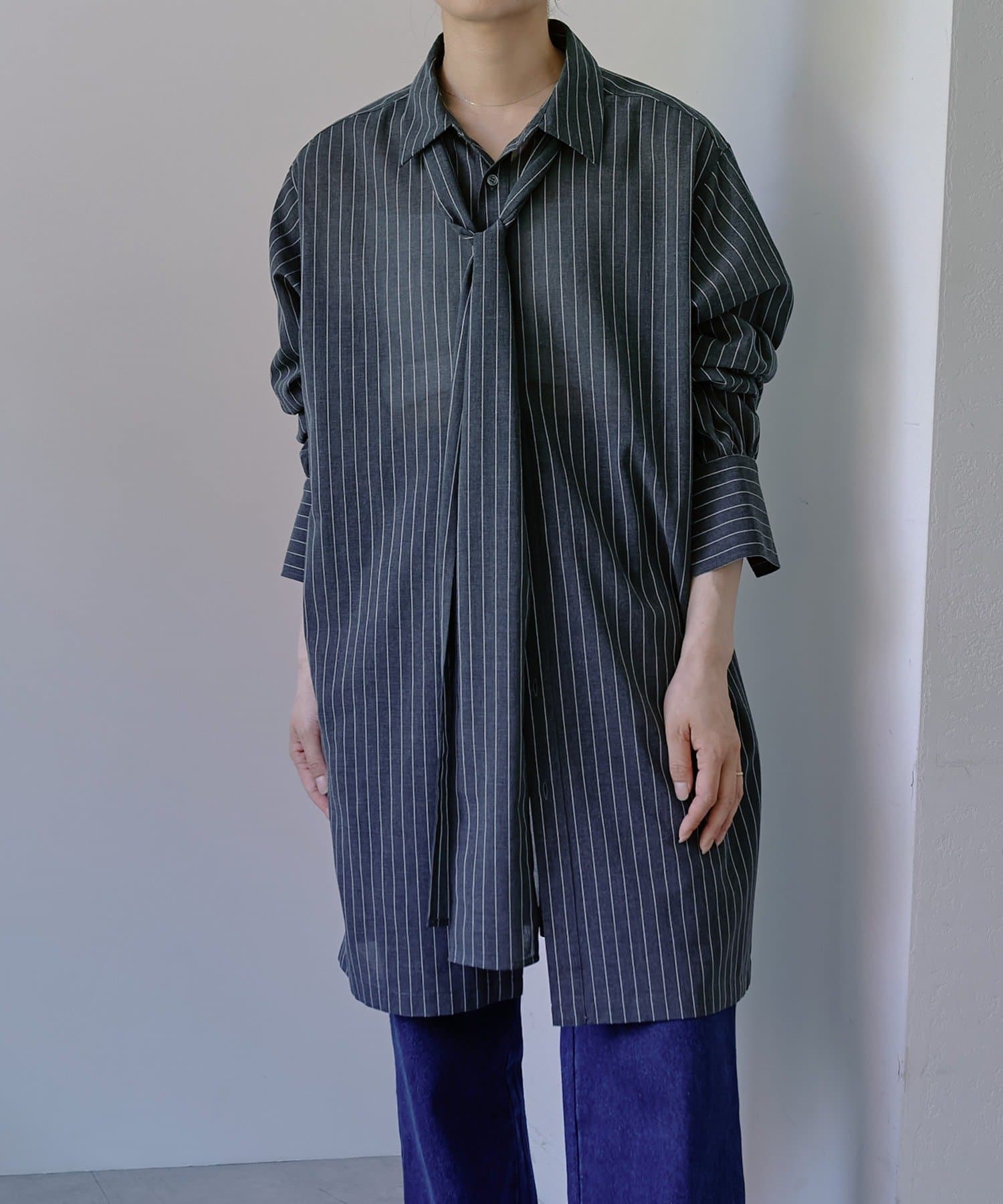 Pasterip(パセリ) Stripe sheer tie shirt