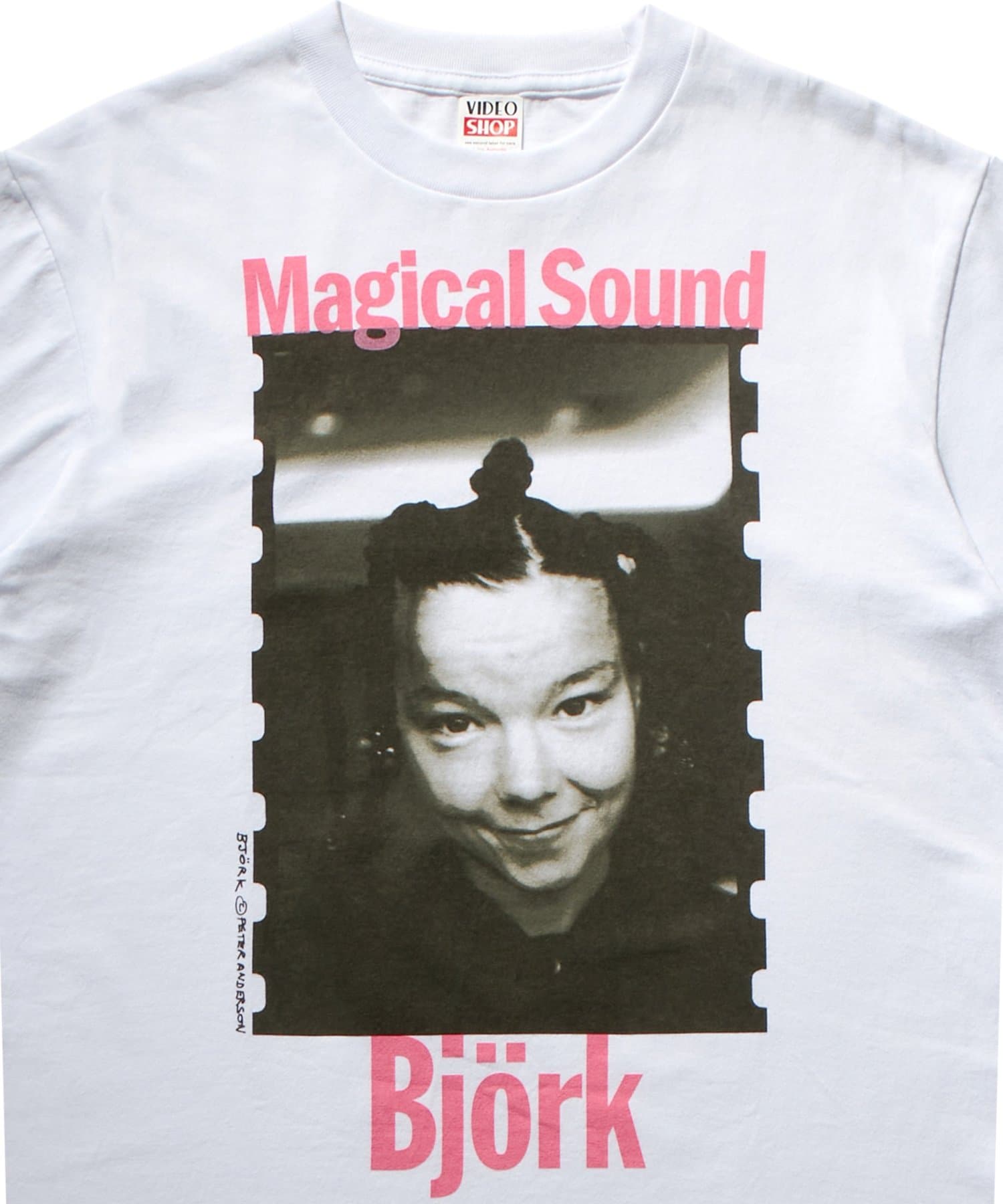 WHO’S WHO gallery(フーズフーギャラリー) 【PETERANDERSON×VIDEO SHOP】 Bjork