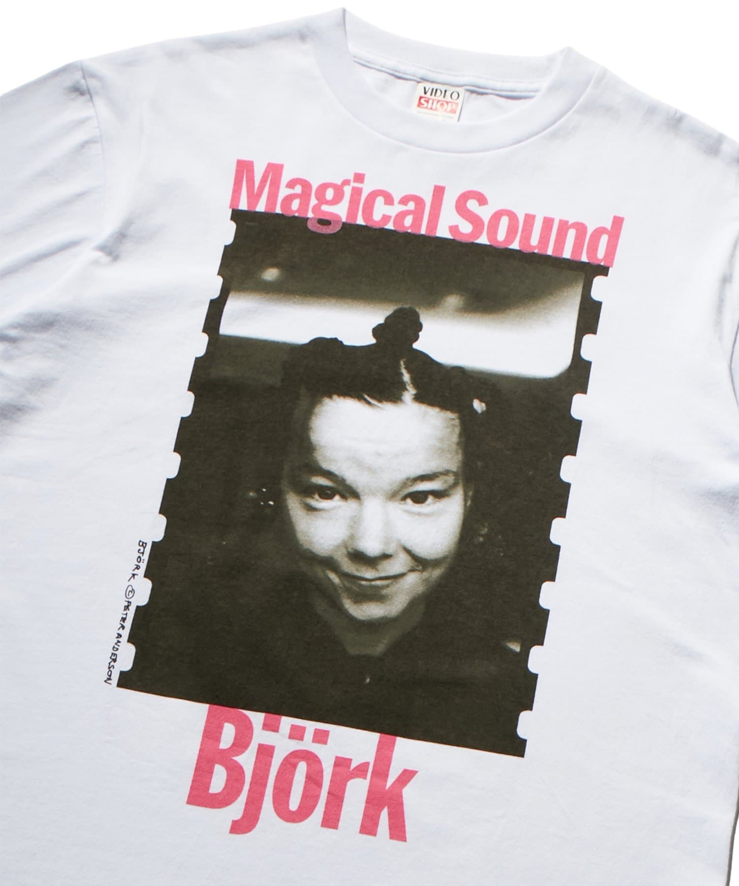WHO’S WHO gallery(フーズフーギャラリー) 【PETERANDERSON×VIDEO SHOP】 Bjork