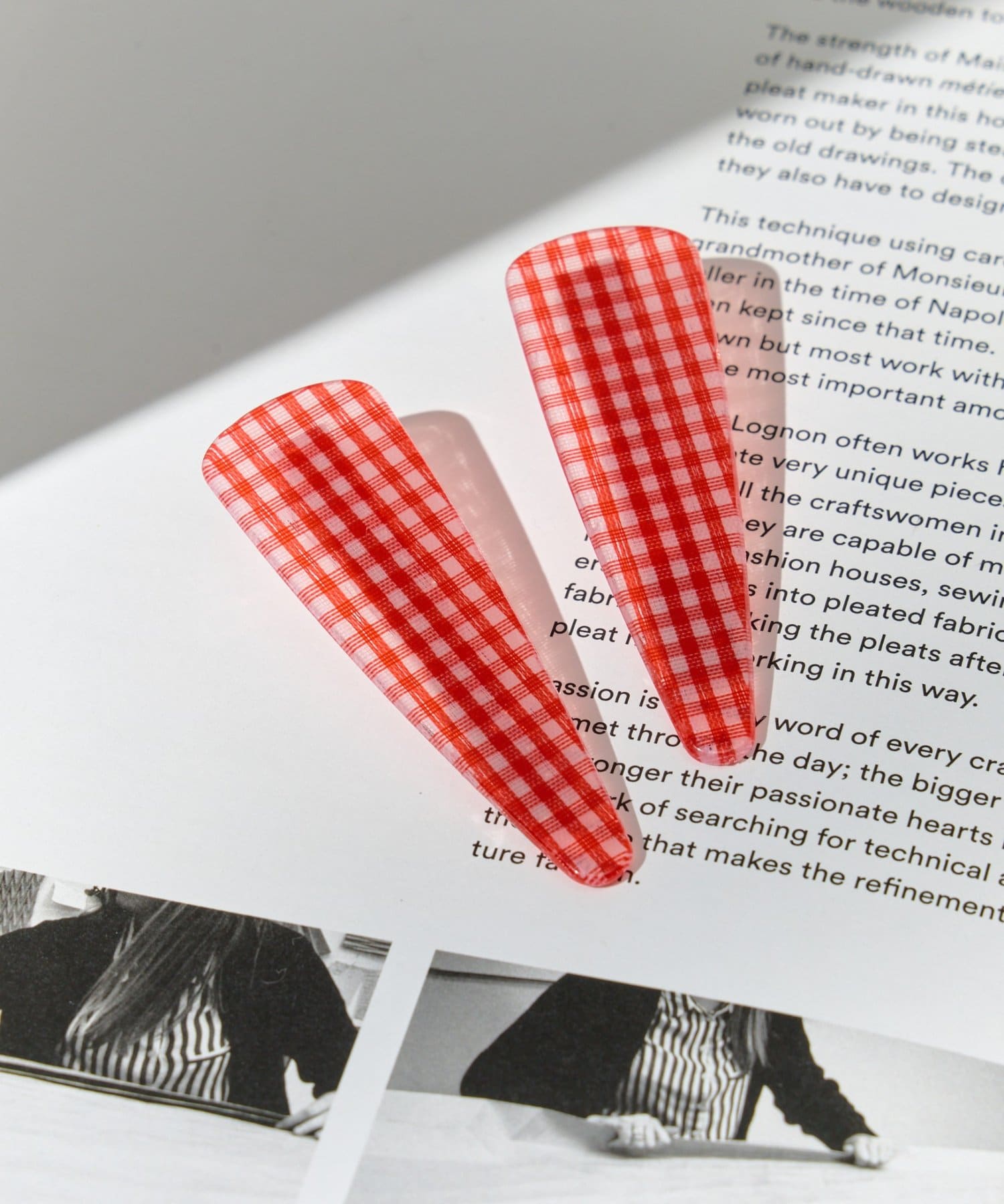 Lattice(ラティス) チェッククリップセット(2P)