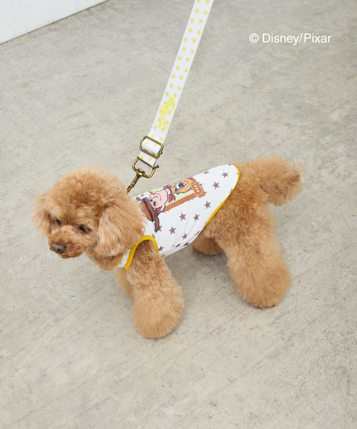 CIAOPANIC TYPY(チャオパニックティピー) 【KIDS】【TOY STORY/トイ・ストーリー】ストレッチメッシュDOGウェア