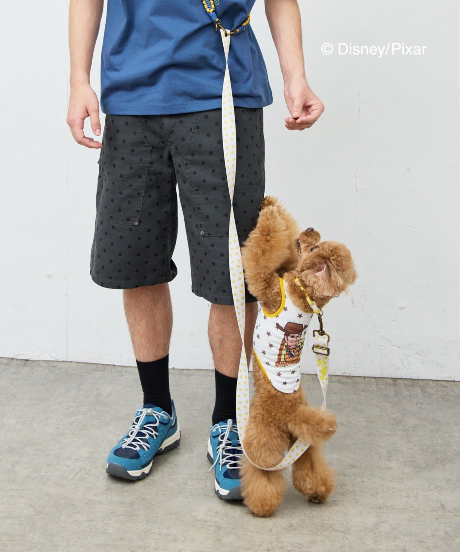 CIAOPANIC TYPY(チャオパニックティピー) 【KIDS】【TOY STORY/トイ・ストーリー】ストレッチメッシュDOGウェア