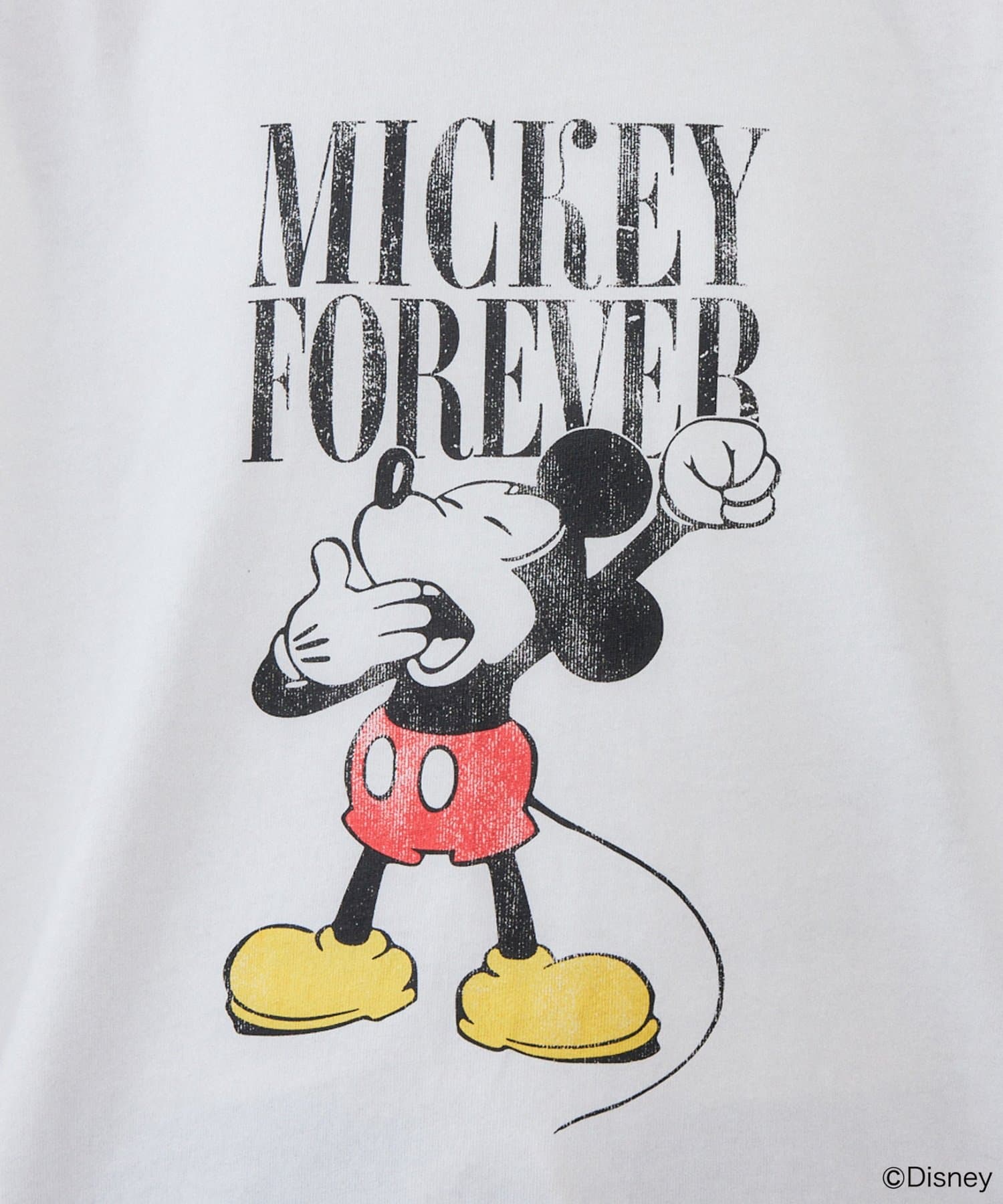 DISCOAT(ディスコート) 6/9(火)17:00予約スタート【Enlude別注】DisneyロゴグラフィックTシャツ