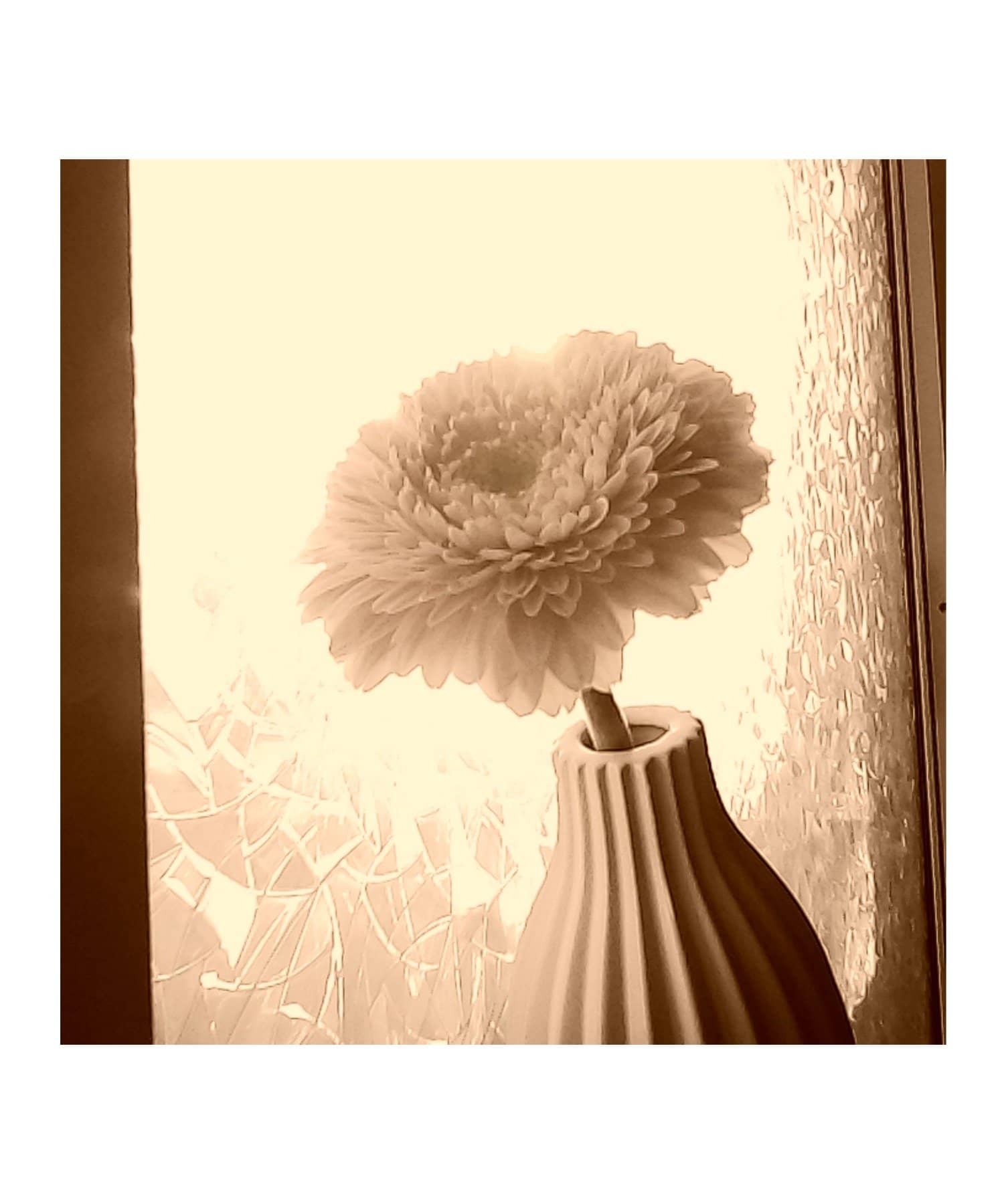 BIRTHDAY BAR(バースデイバー) 【KENKO TOKINA】 トイカメラ PIENI FLEX M