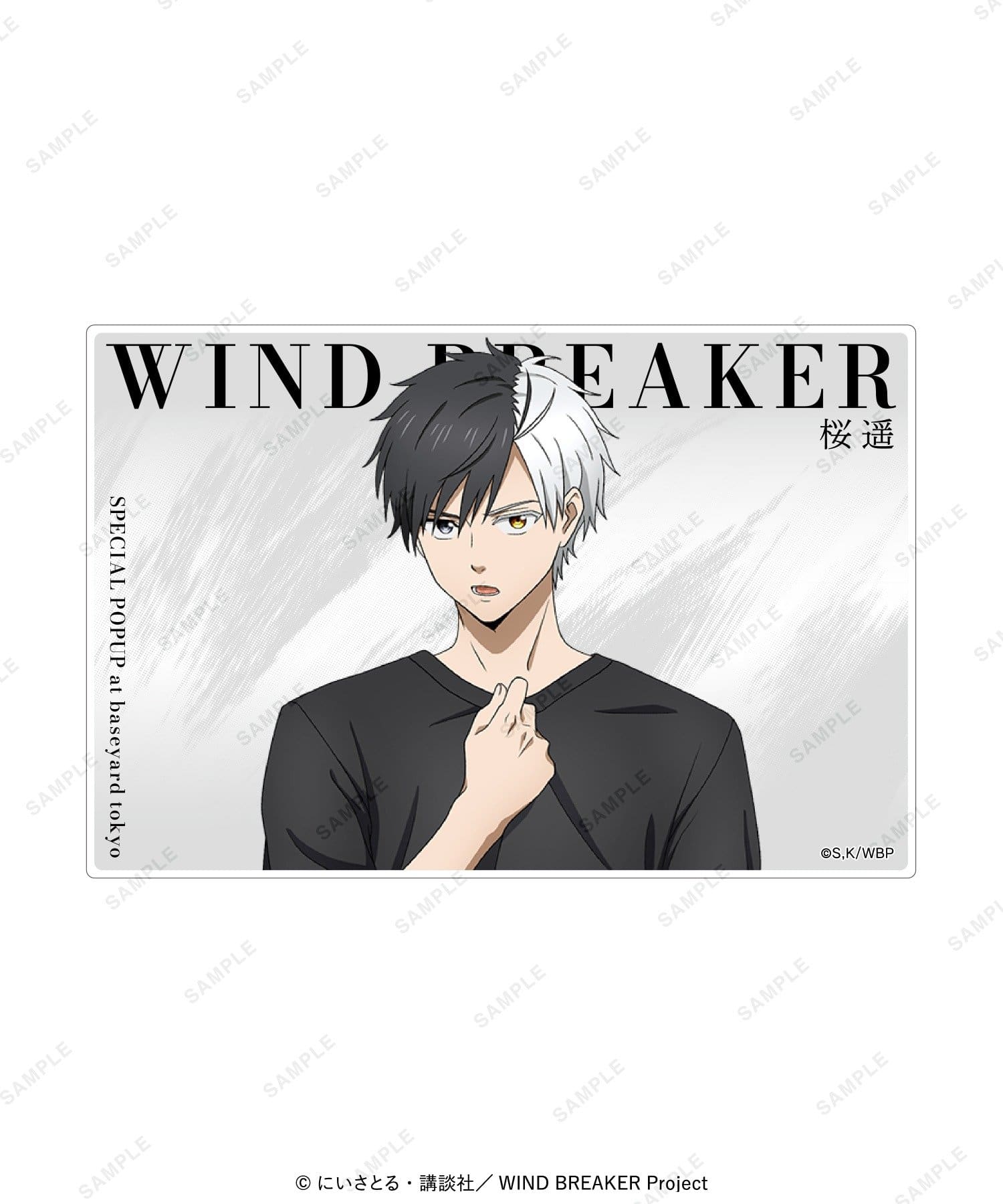baseyard tokyo(ベースヤード トーキョー) 【WIND BREAKER】アクリルブロック