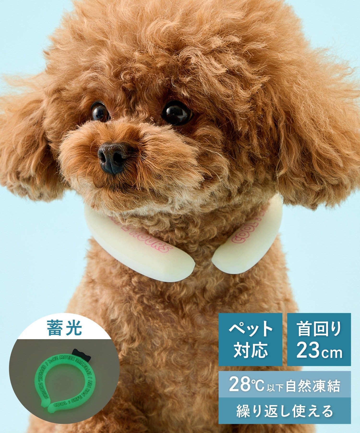 3COINS(スリーコインズ) クールネックバンド：M