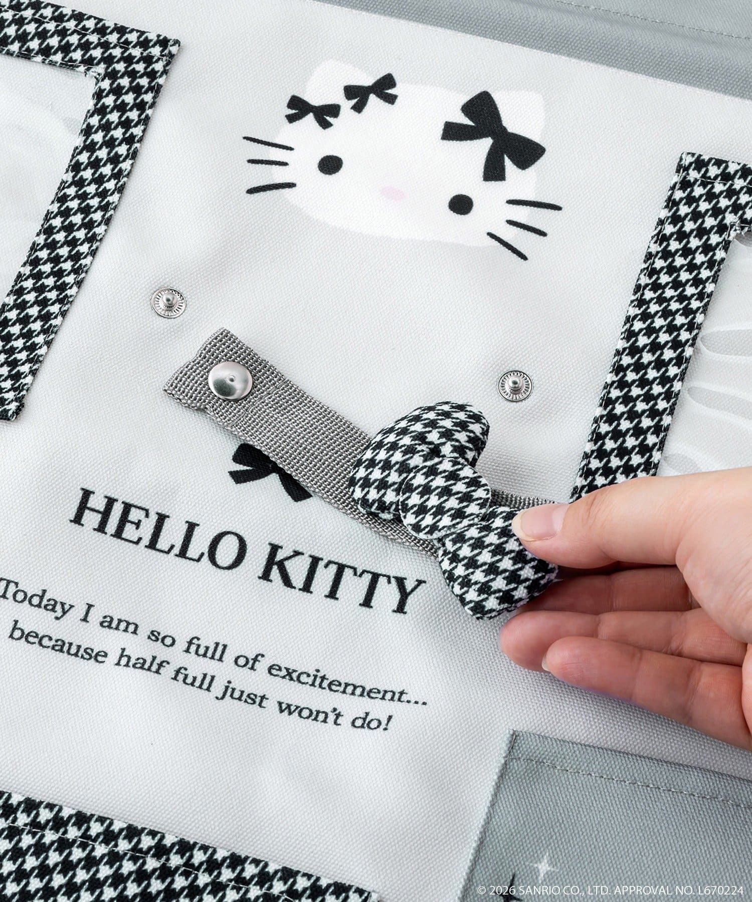 3COINS(スリーコインズ) ビッグウォールポケット：55×45cm／HELLO KITTY