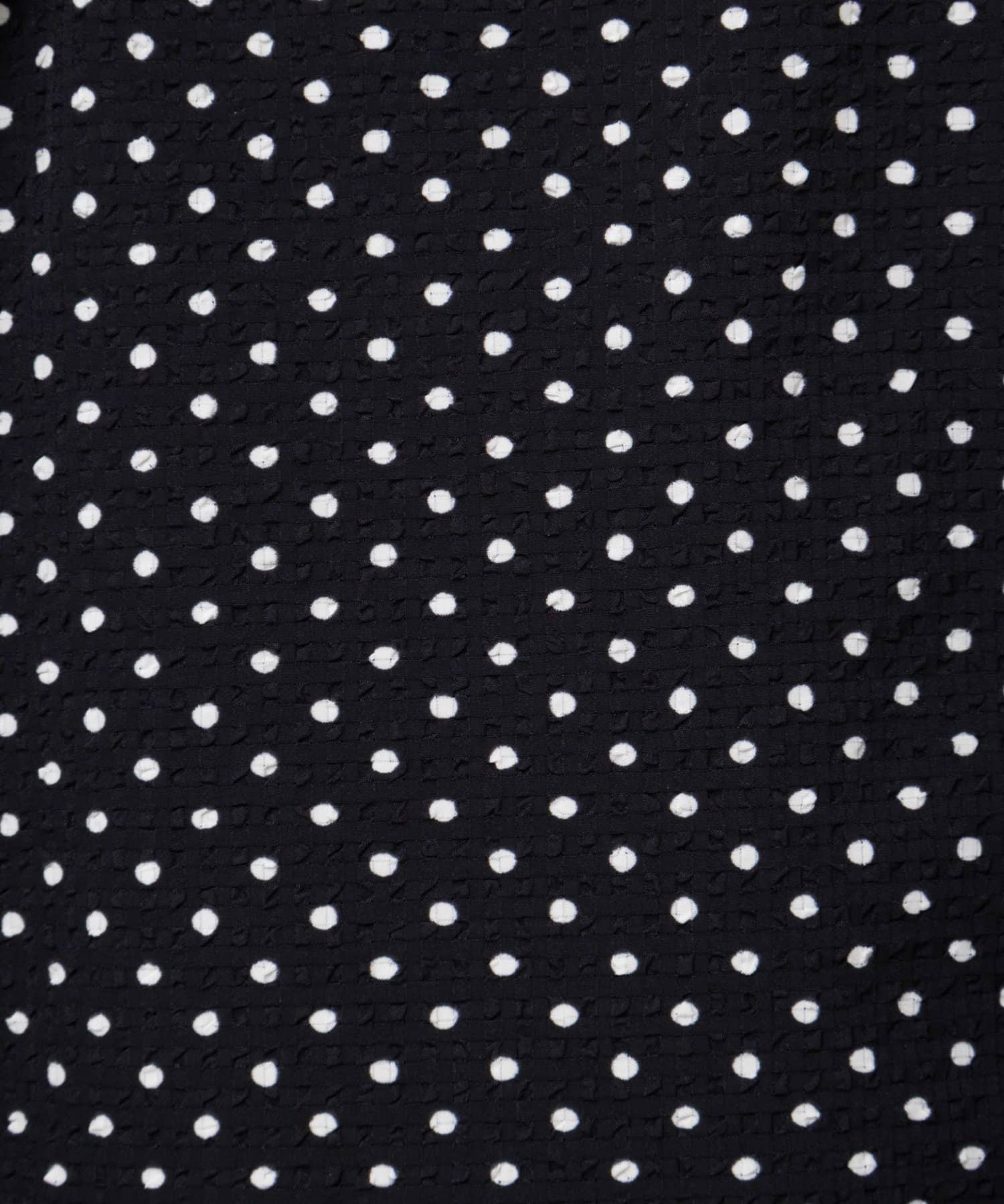 NOLLEY'S(ノーリーズ) 【WEB限定】ウォッシャブルサッカードット袖ギャザーブラウス